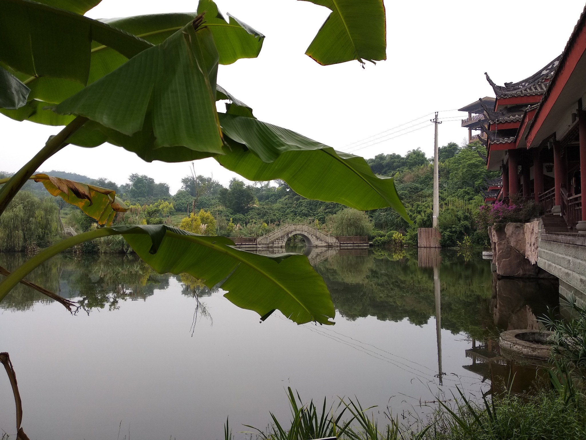 遊瀘州張壩桂圓林公園,瀘州旅遊攻略 - 馬蜂窩