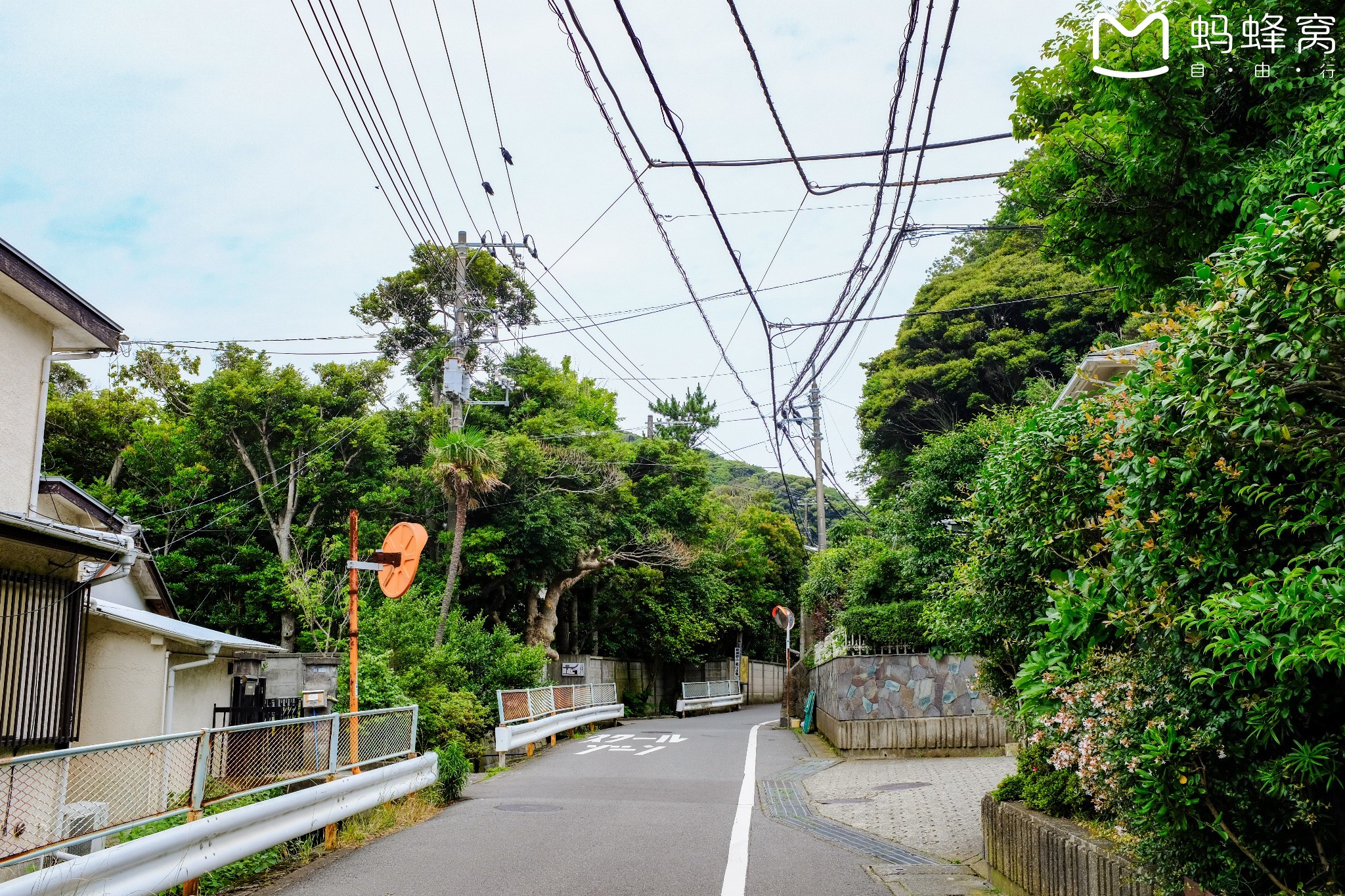 東京自助遊攻略