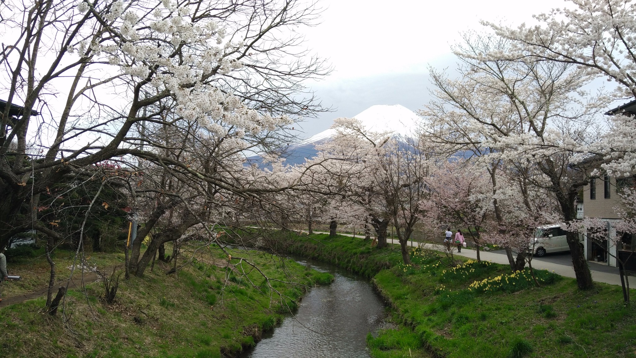 日本自助遊攻略