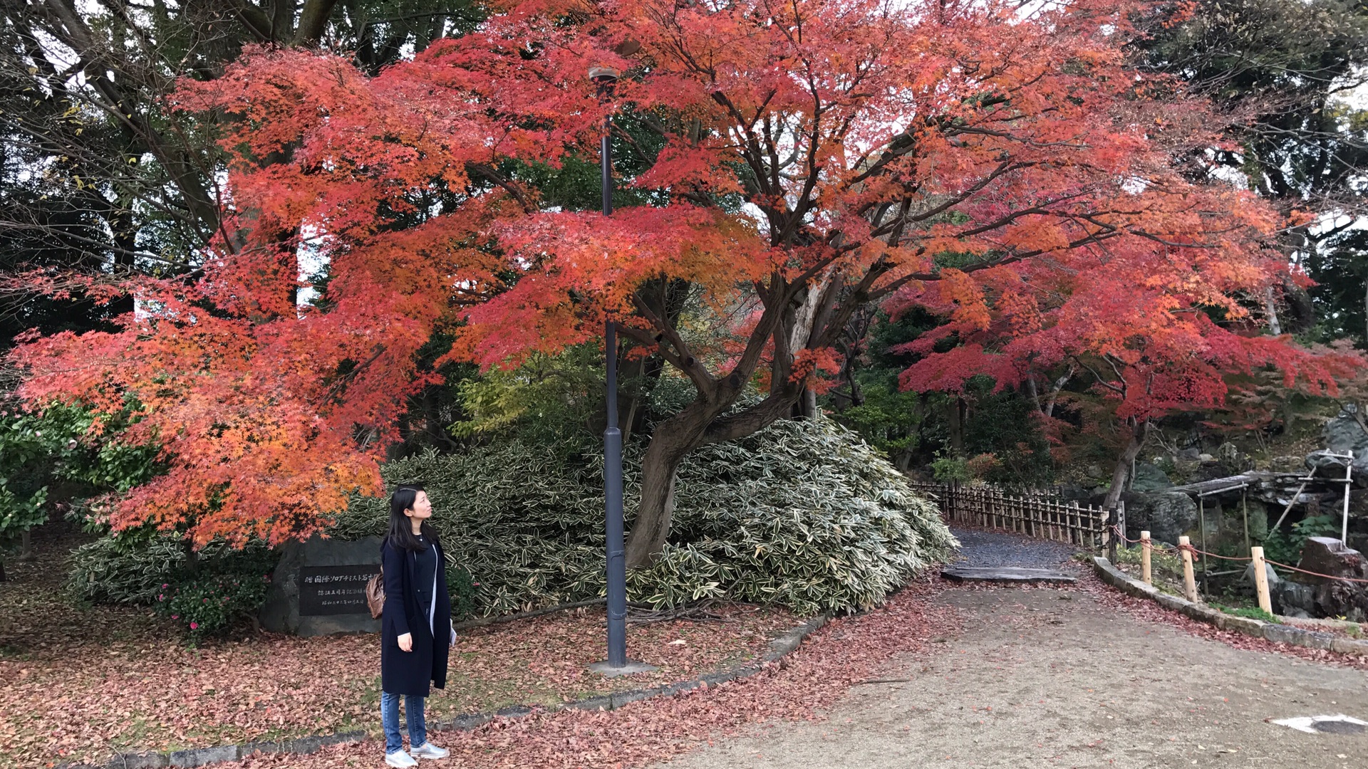 名古屋自助遊攻略