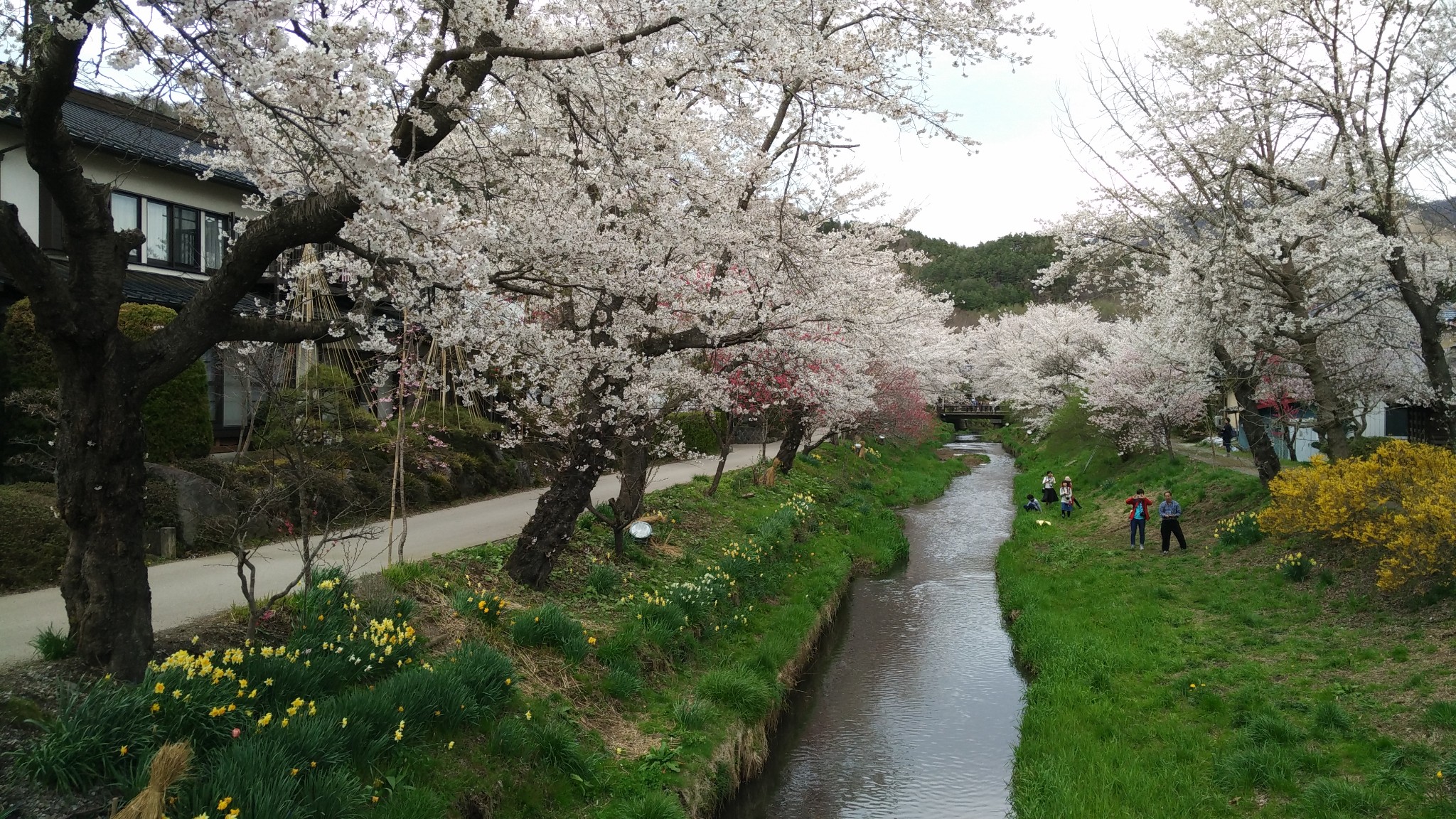 日本自助遊攻略