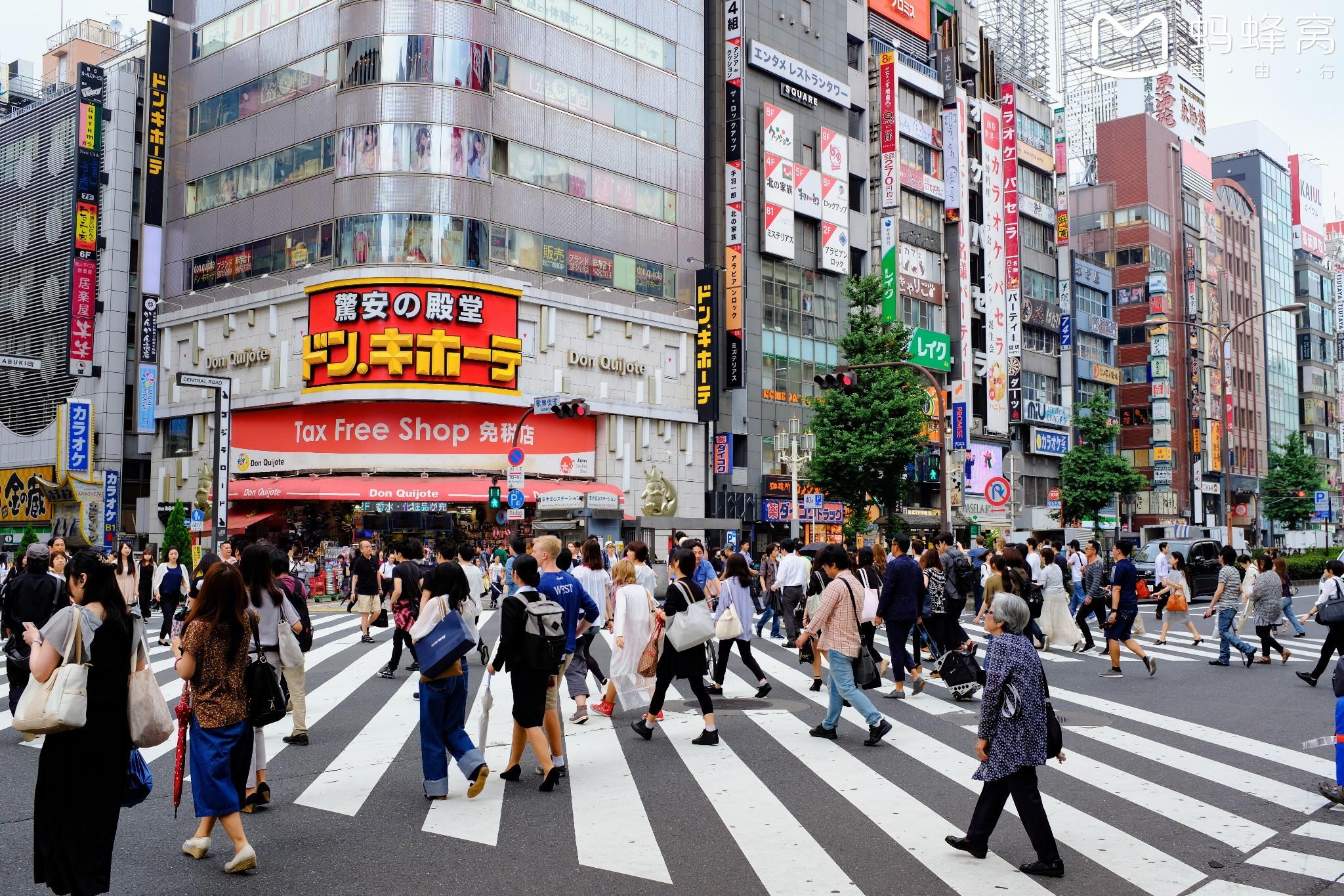 東京自助遊攻略