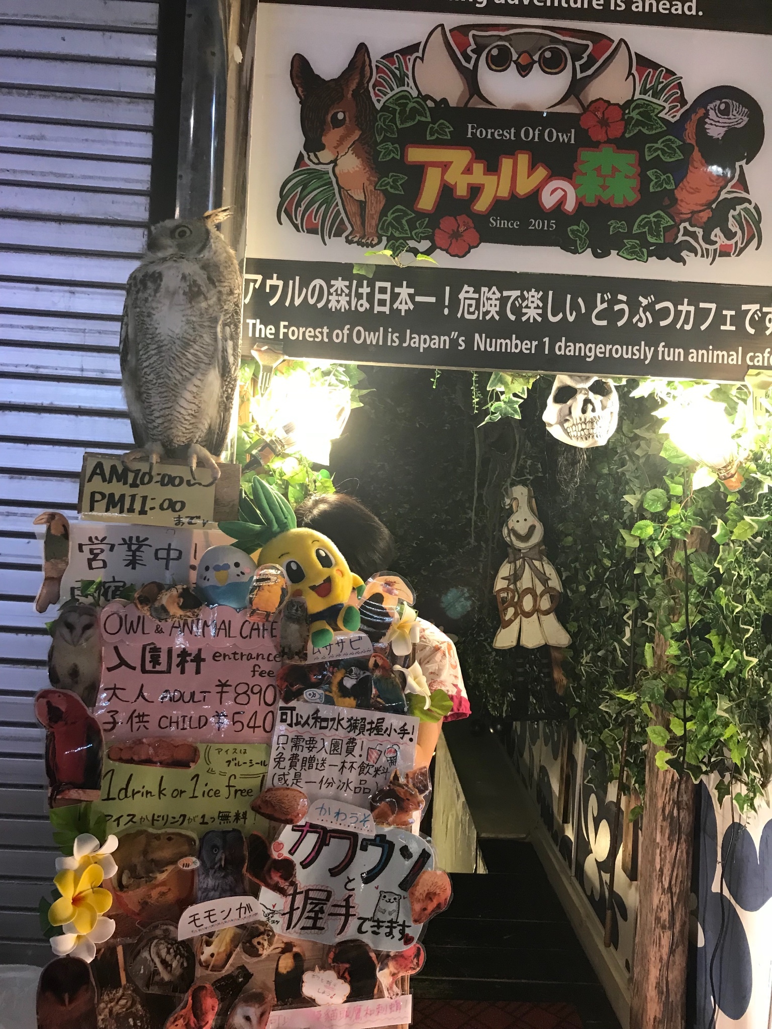 冲绳吃饭人均_冲绳奴隶岛
