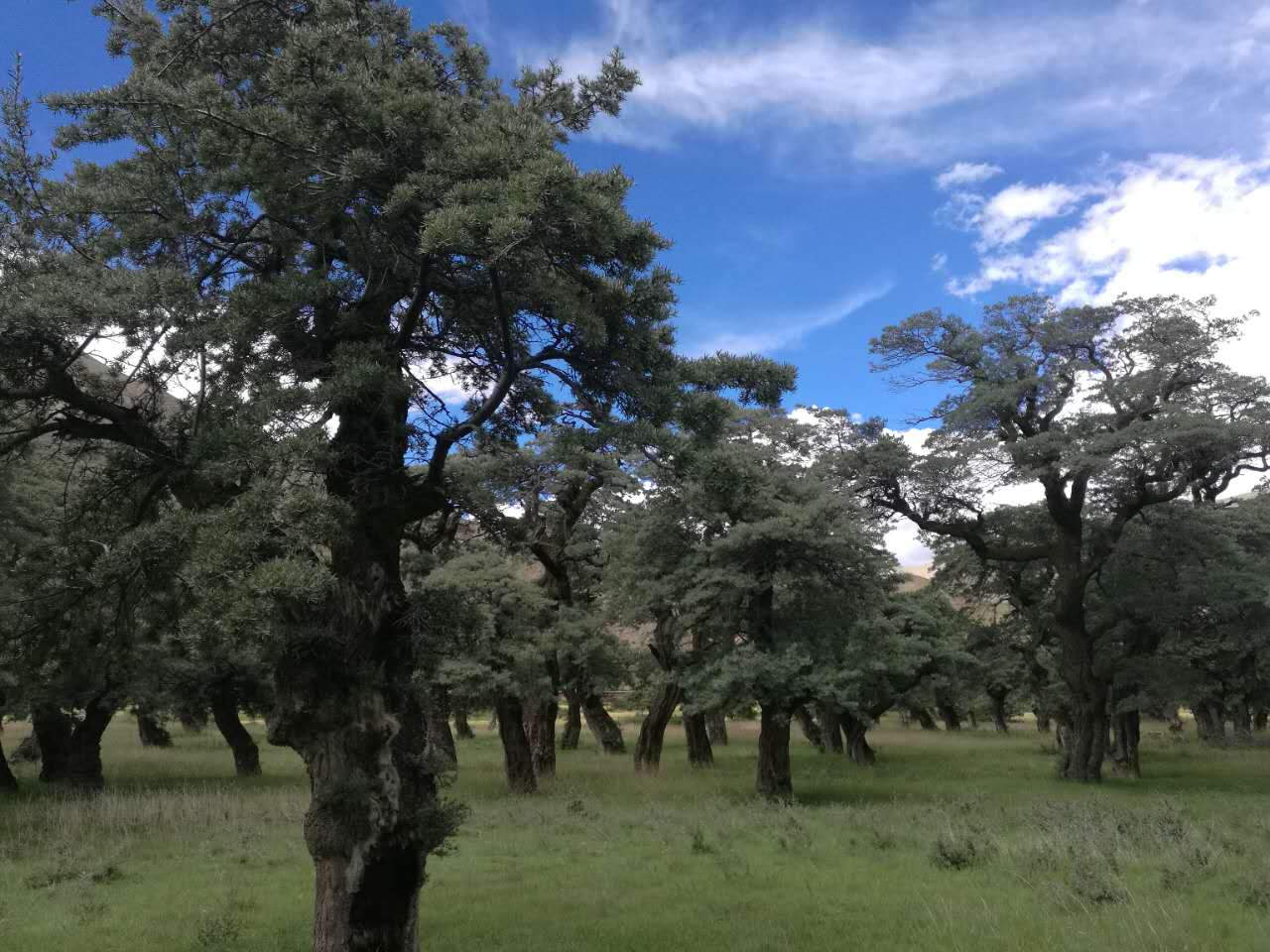 错那旅游图片,错那自助游图片,错那旅游景点照片 - 马蜂窝图库 - 马蜂