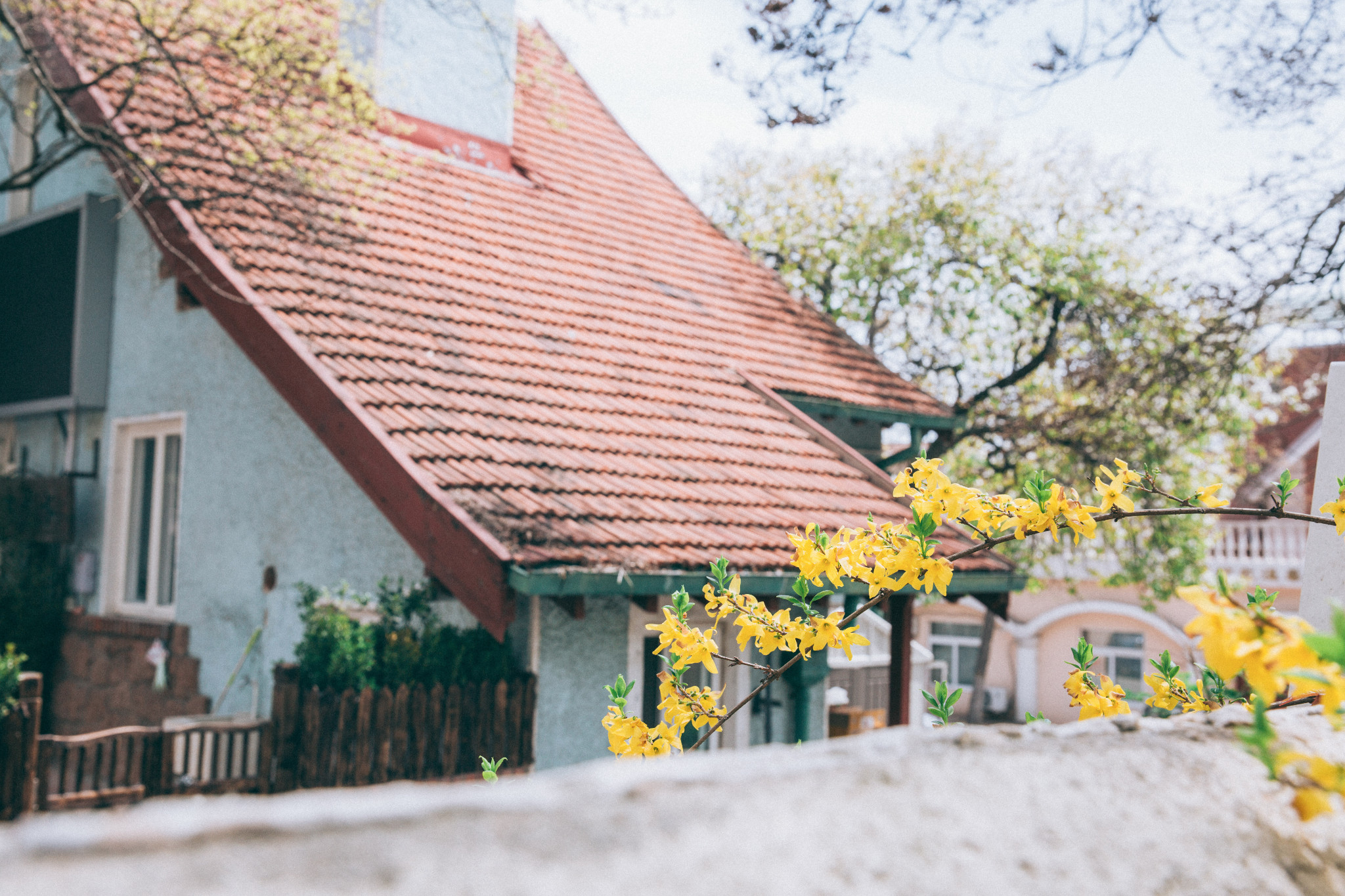 青岛也是“岛”--一场意外与美好的遇见_游记