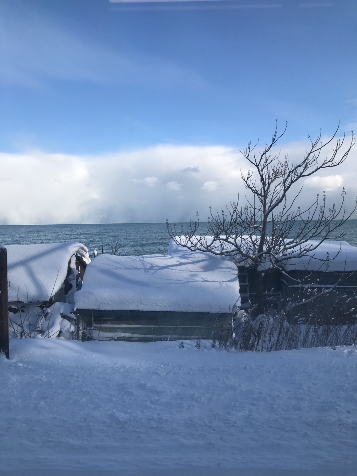 北海道自助遊攻略