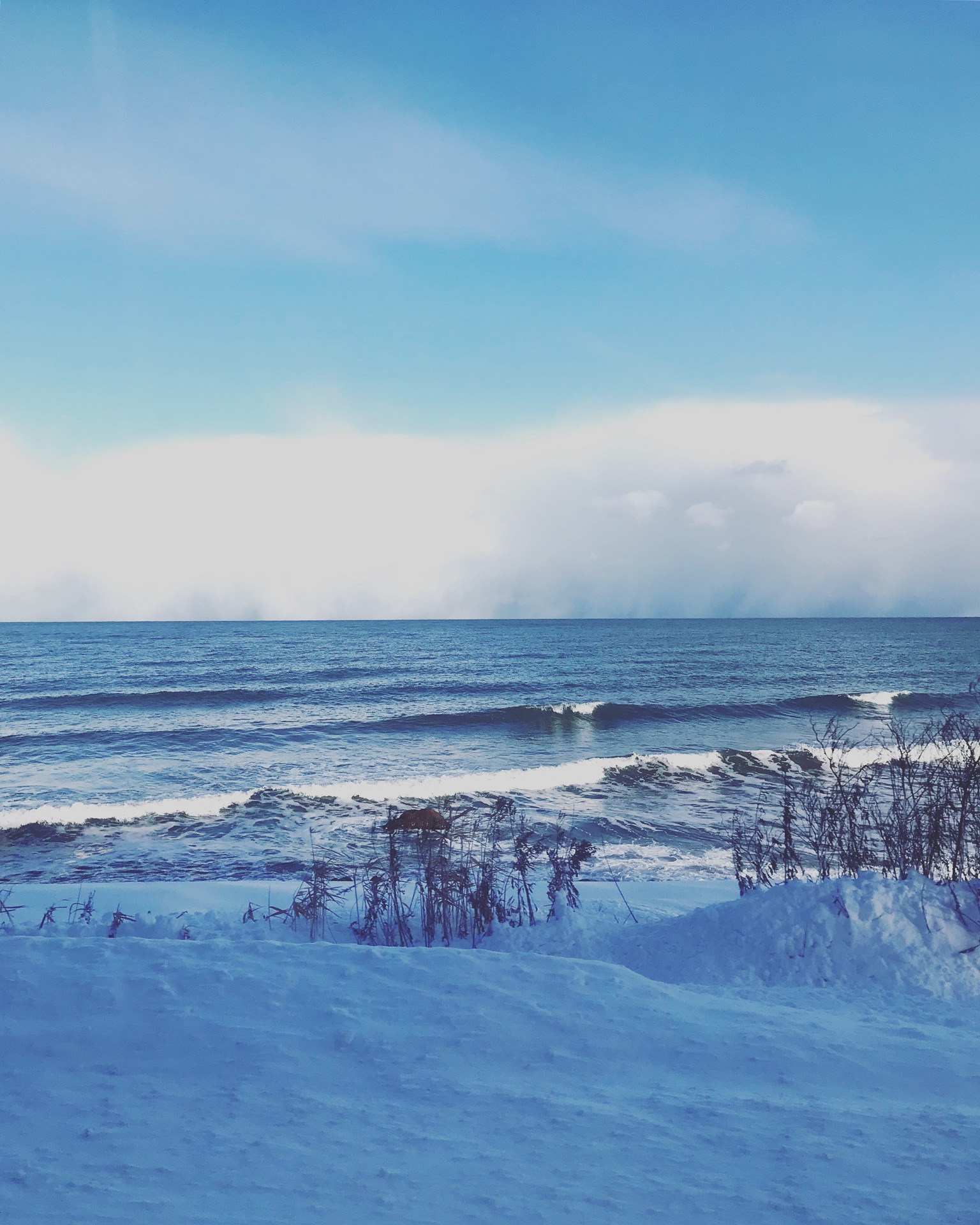 北海道自助遊攻略