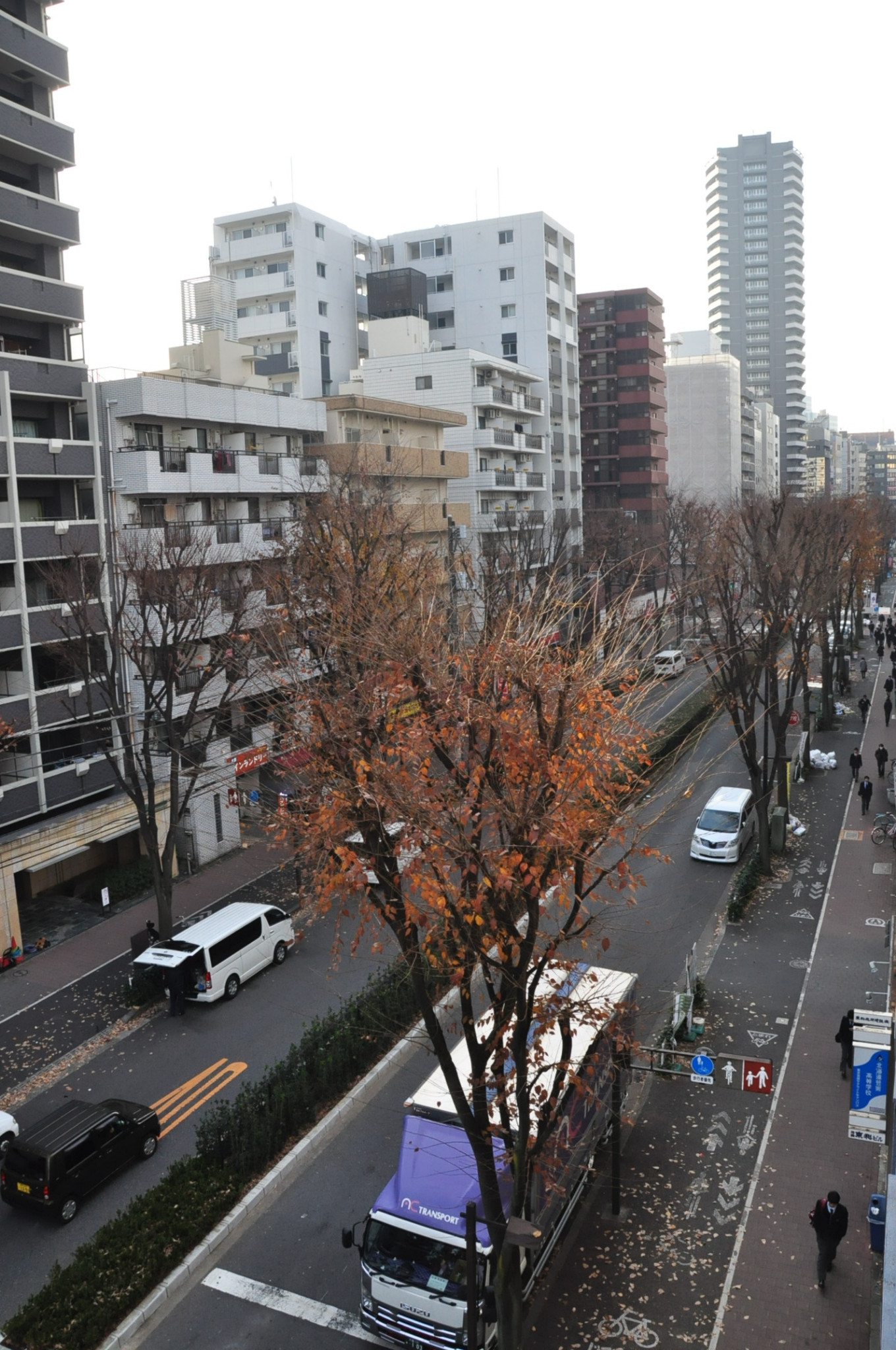 東京自助遊攻略