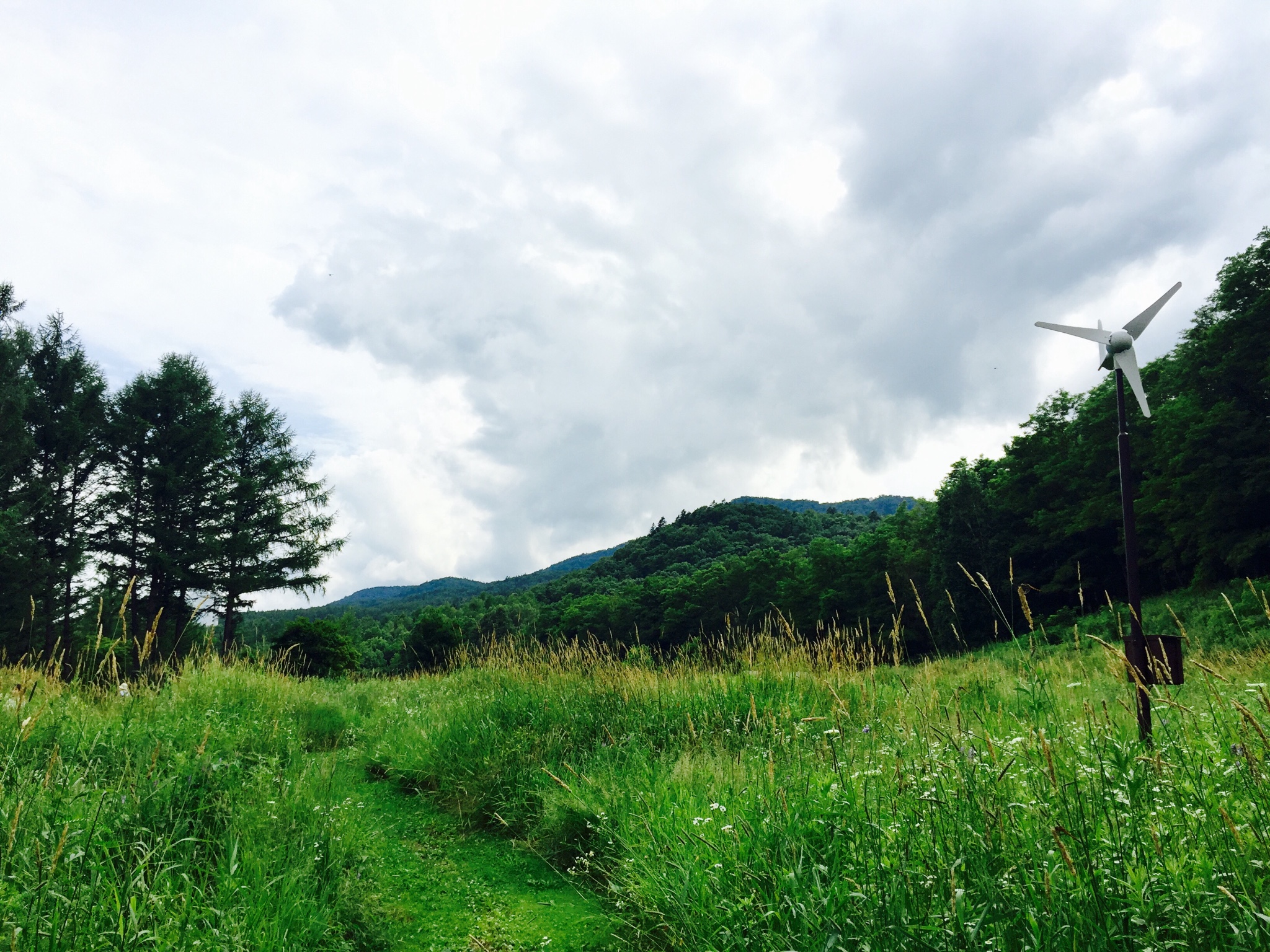 北海道自助遊攻略