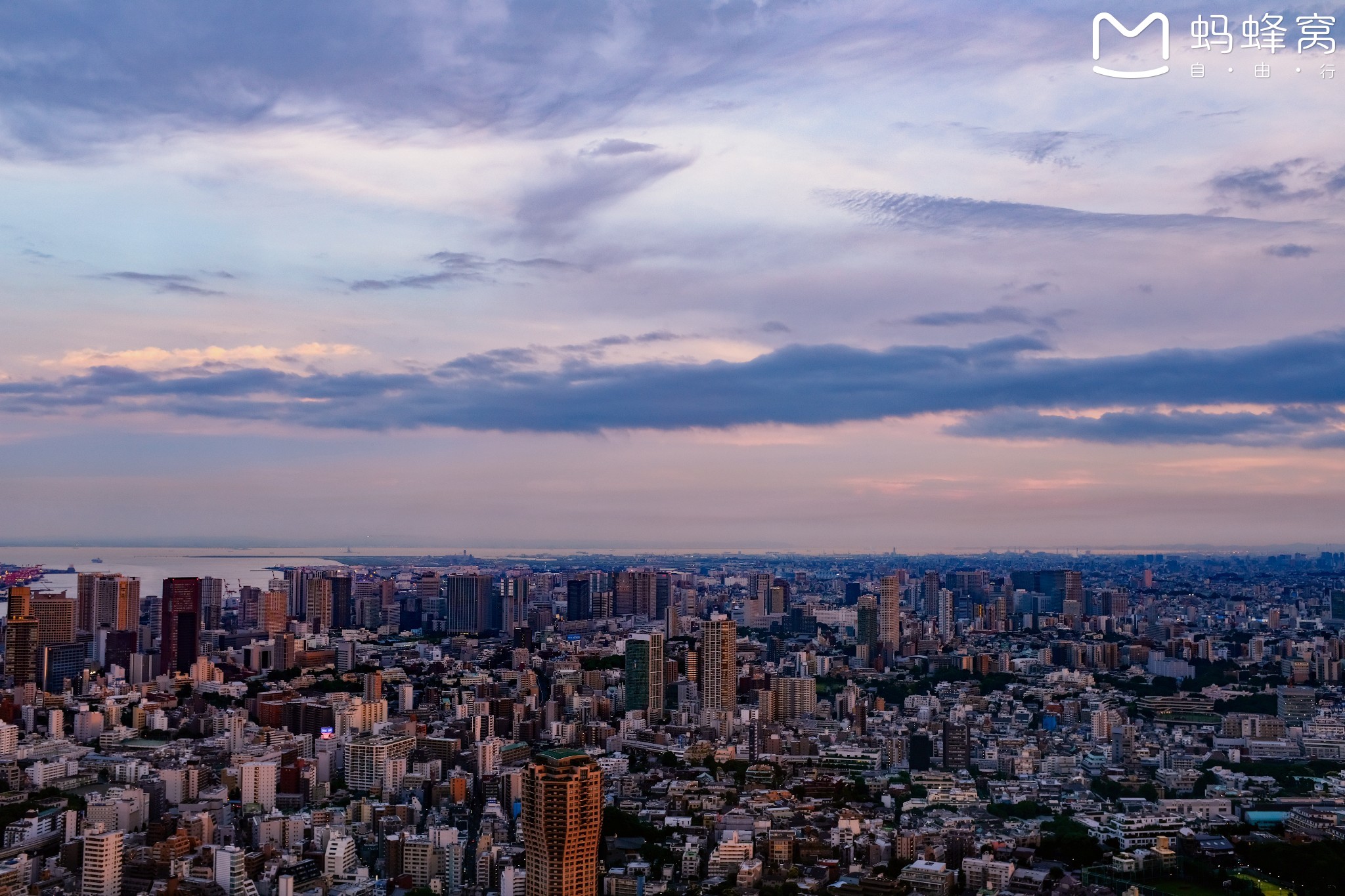 東京自助遊攻略