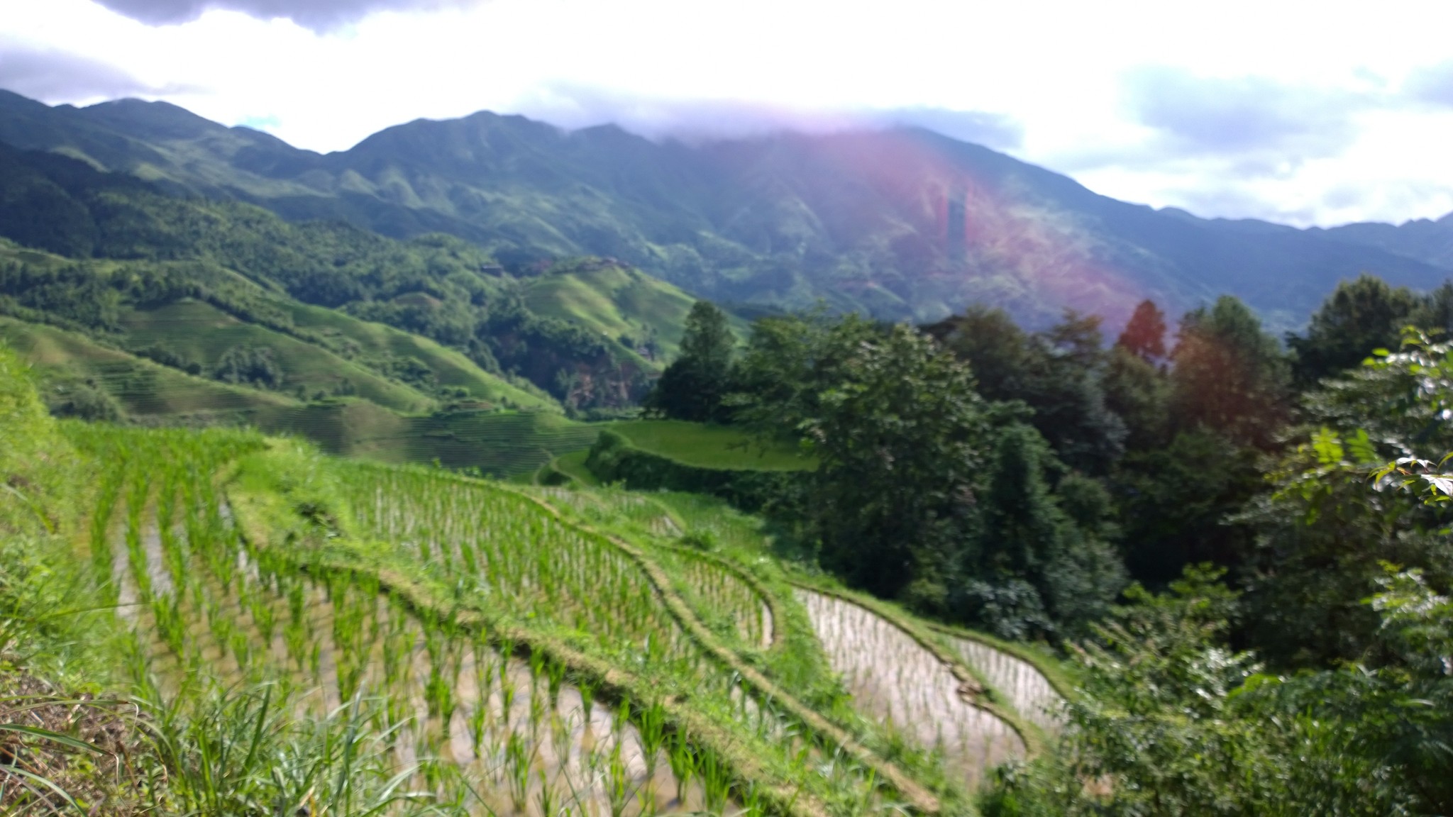 天半地半,梯田田畔