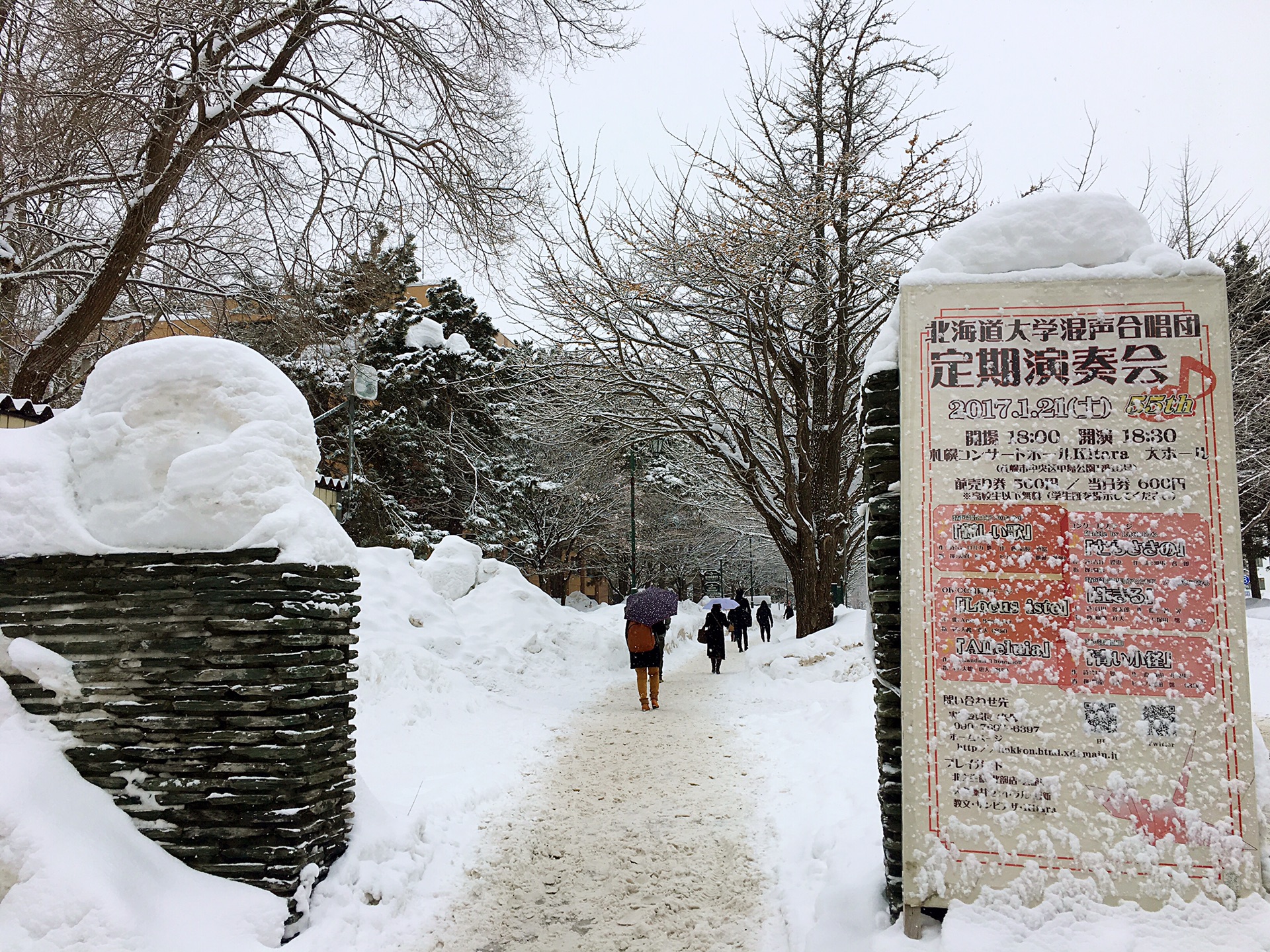 北海道自助遊攻略