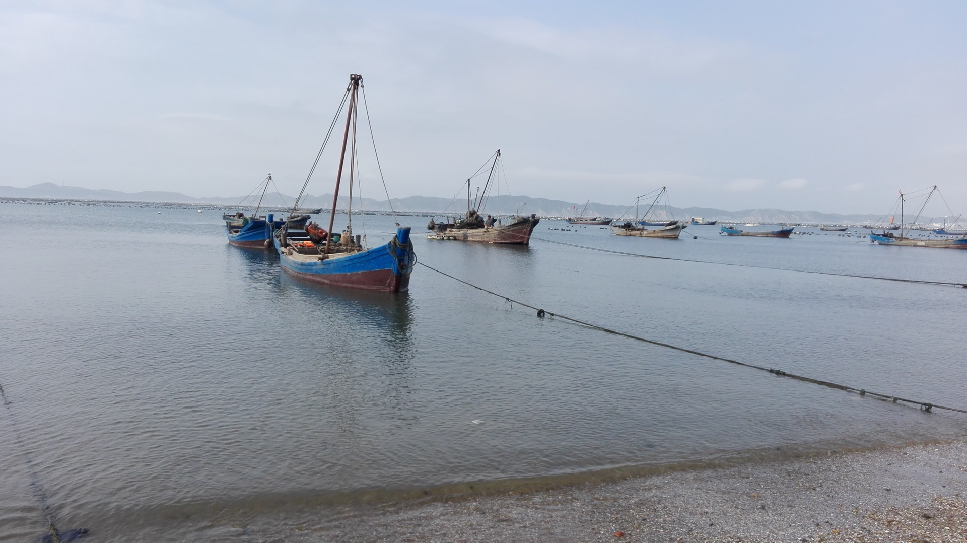 浴场老总_巴西海滩天体浴场图片(3)