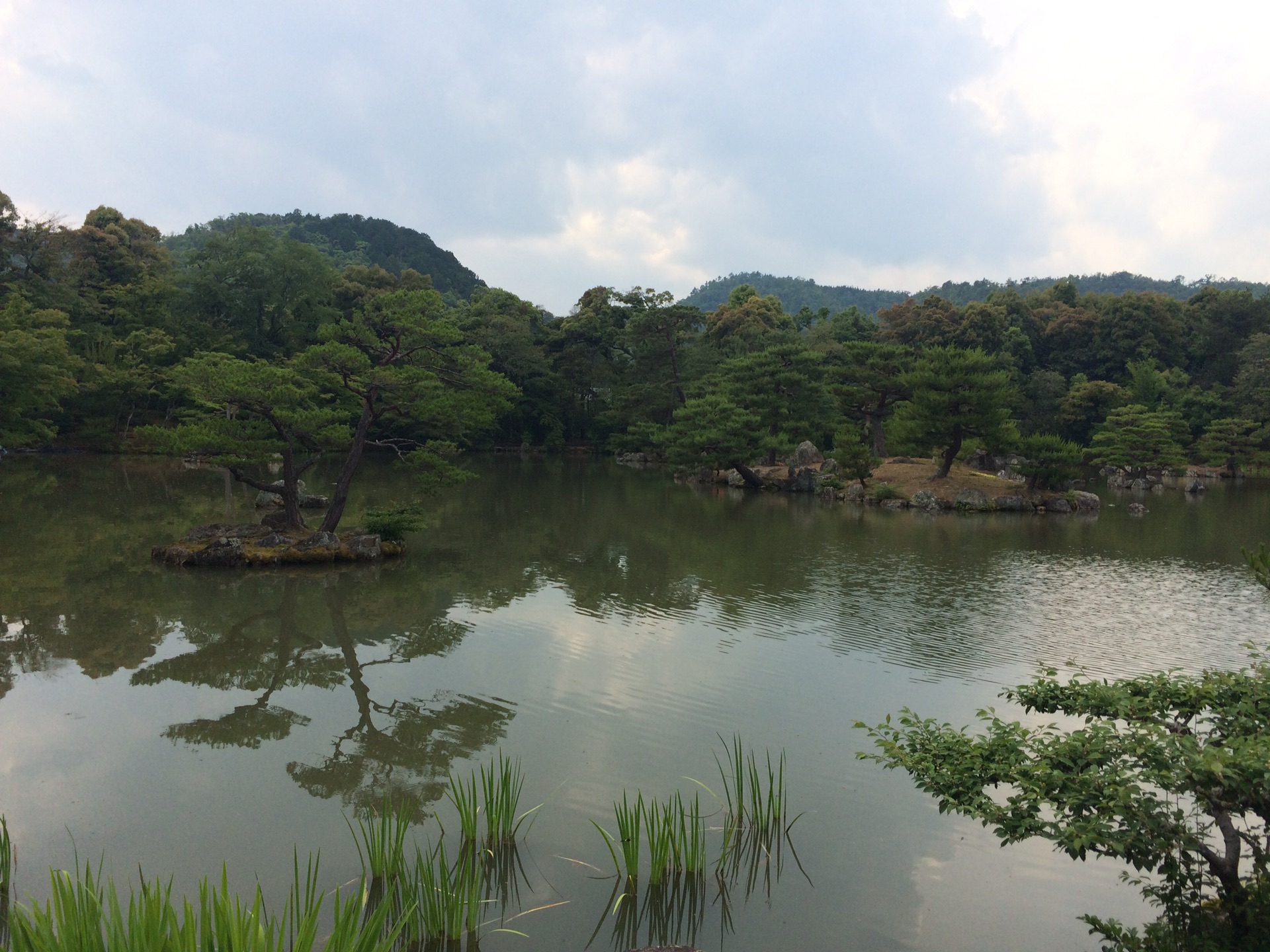 京都自助遊攻略