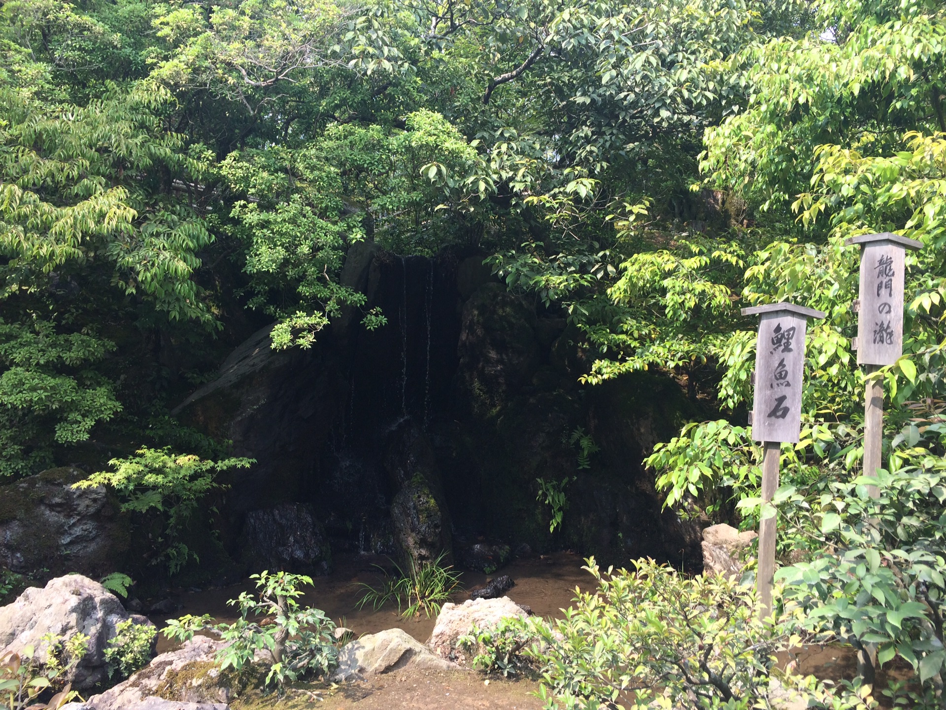 京都自助遊攻略