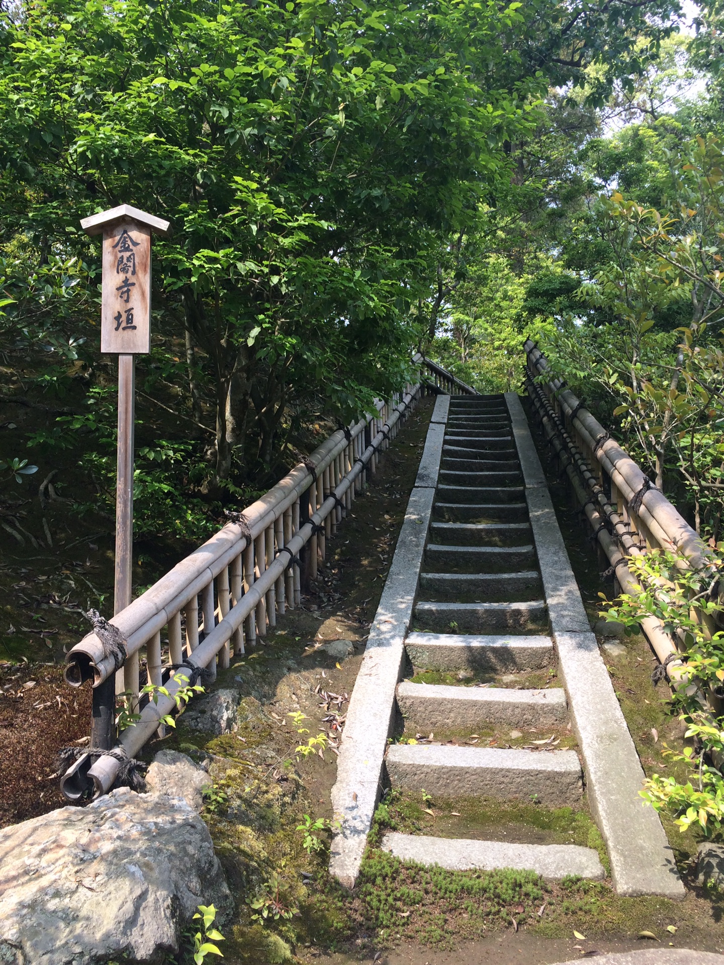 京都自助遊攻略