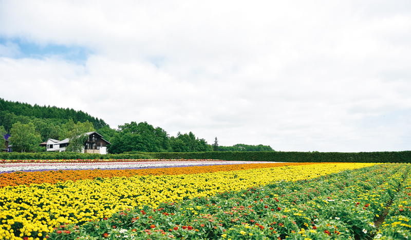 北海道自助遊攻略