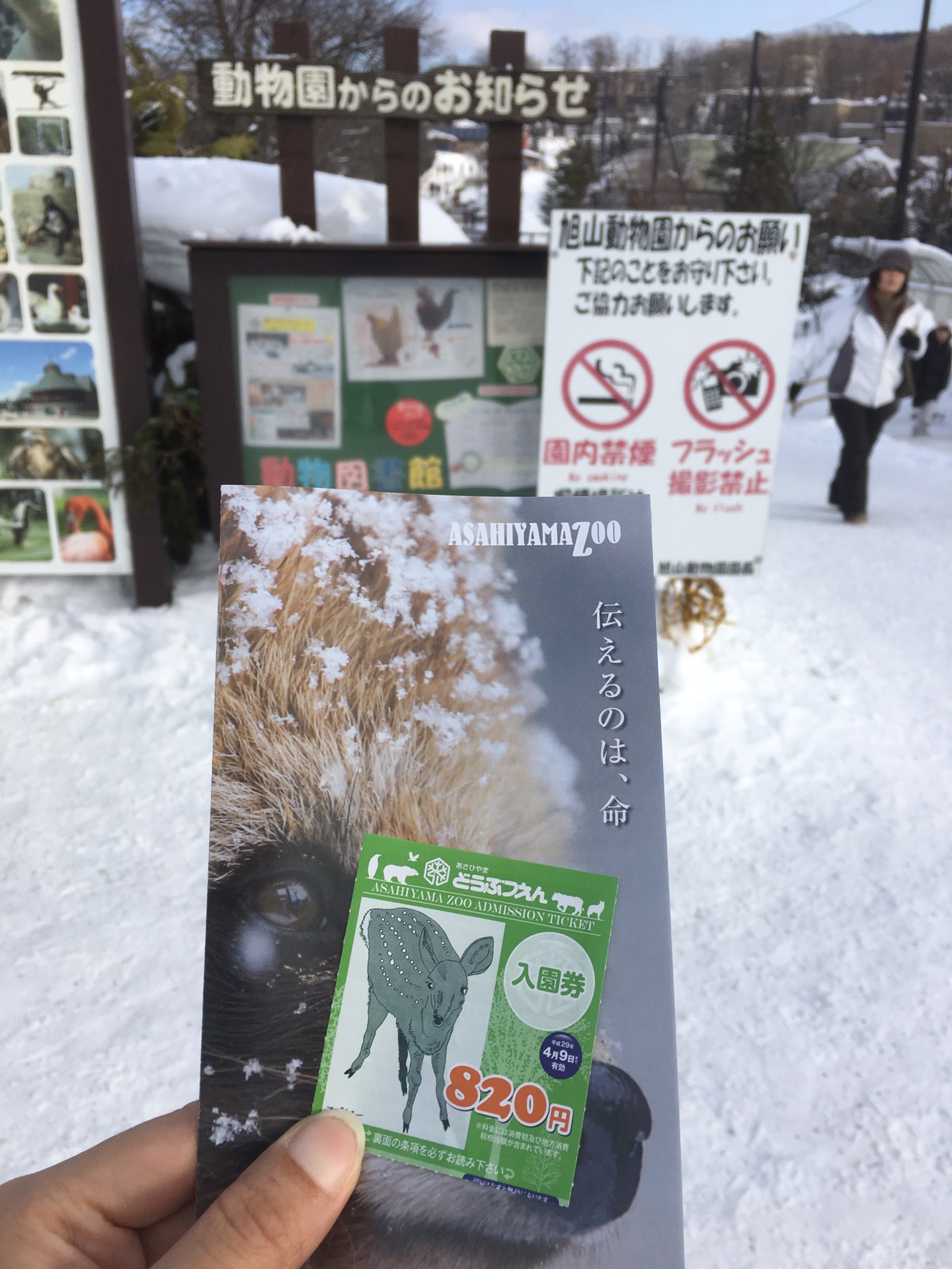 北海道自助遊攻略