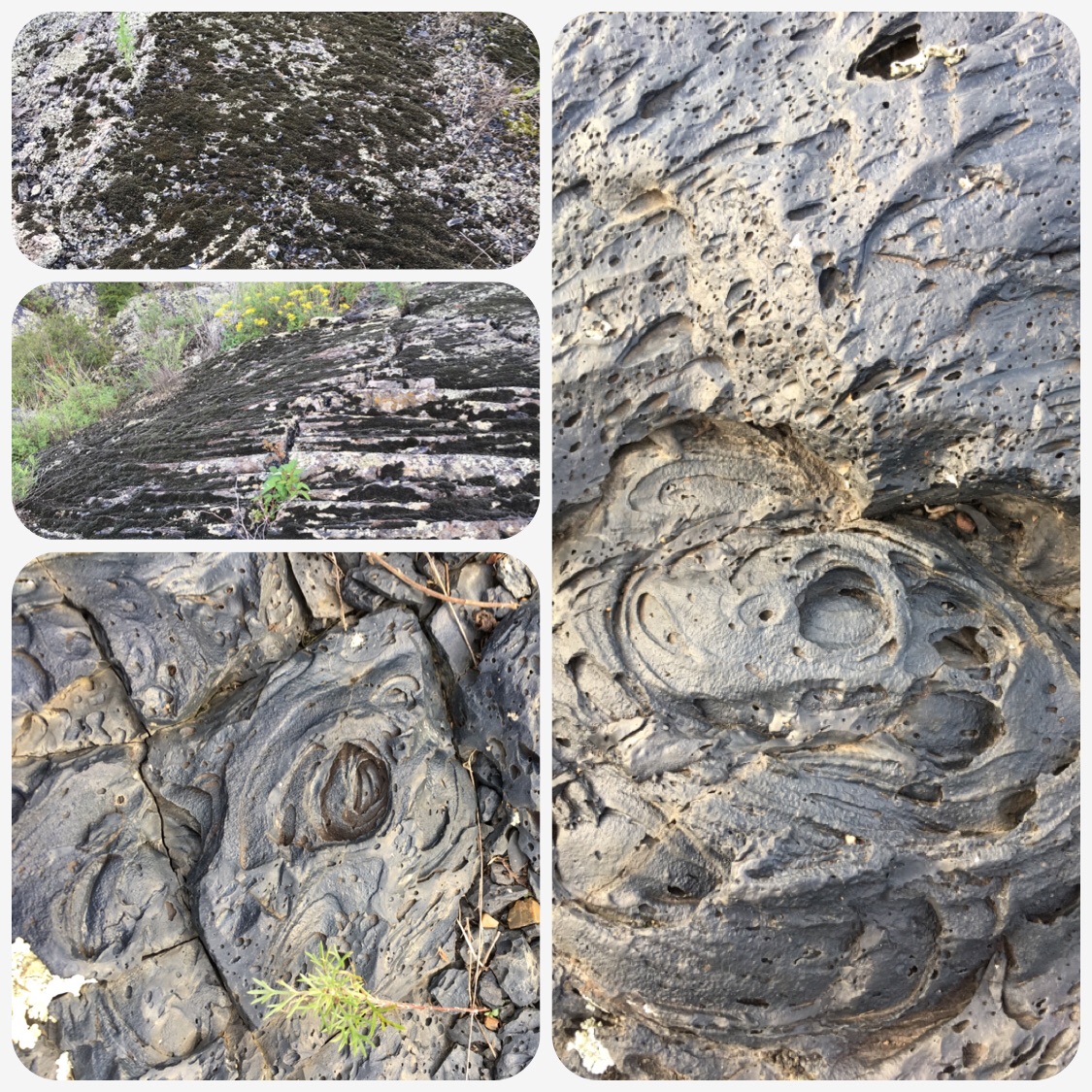 五大连池之南北饮泉