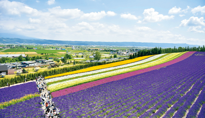 北海道自助遊攻略