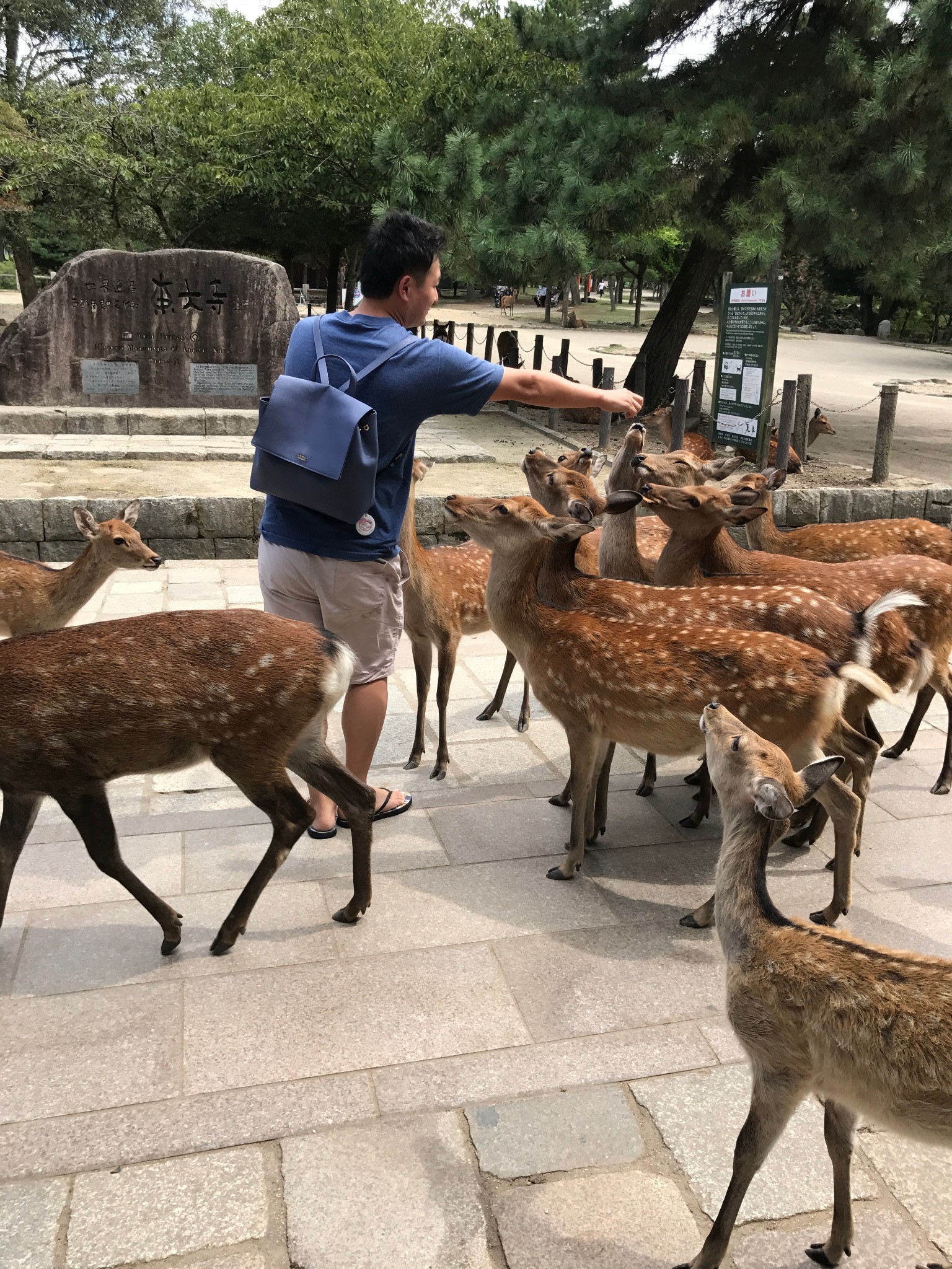 大阪自助遊攻略