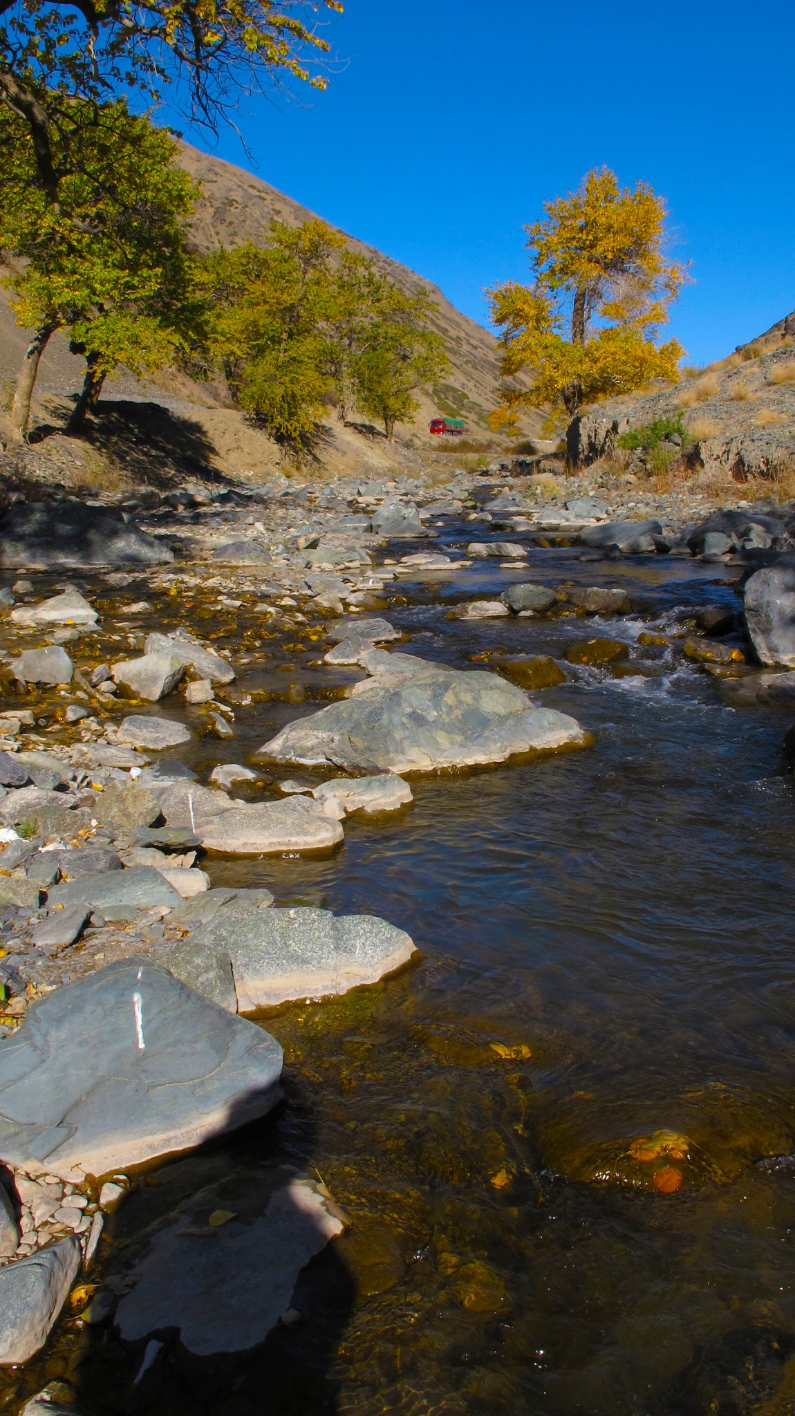 哈密往天山寒气沟国家森林公园