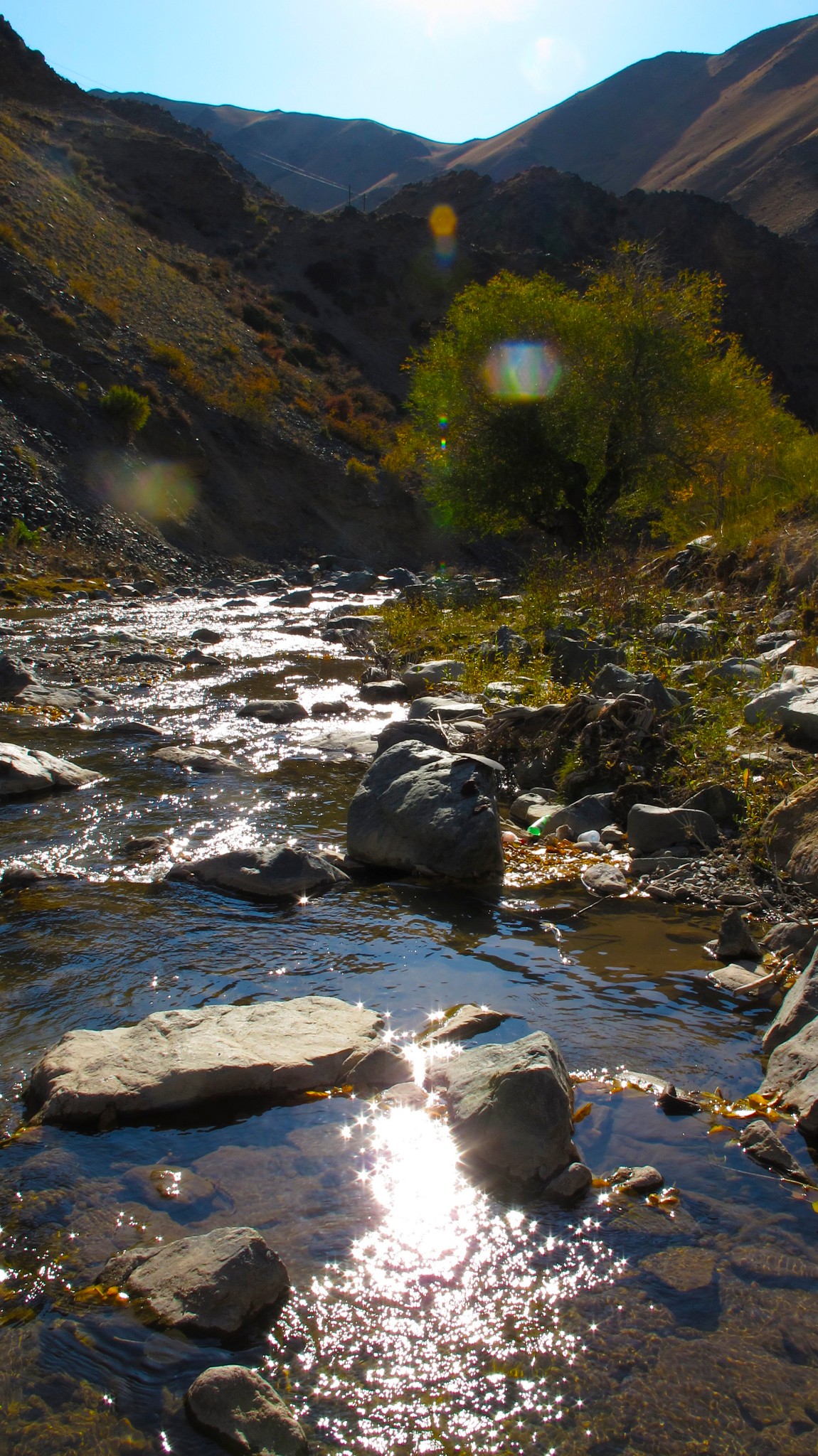 哈密往天山寒气沟国家森林公园