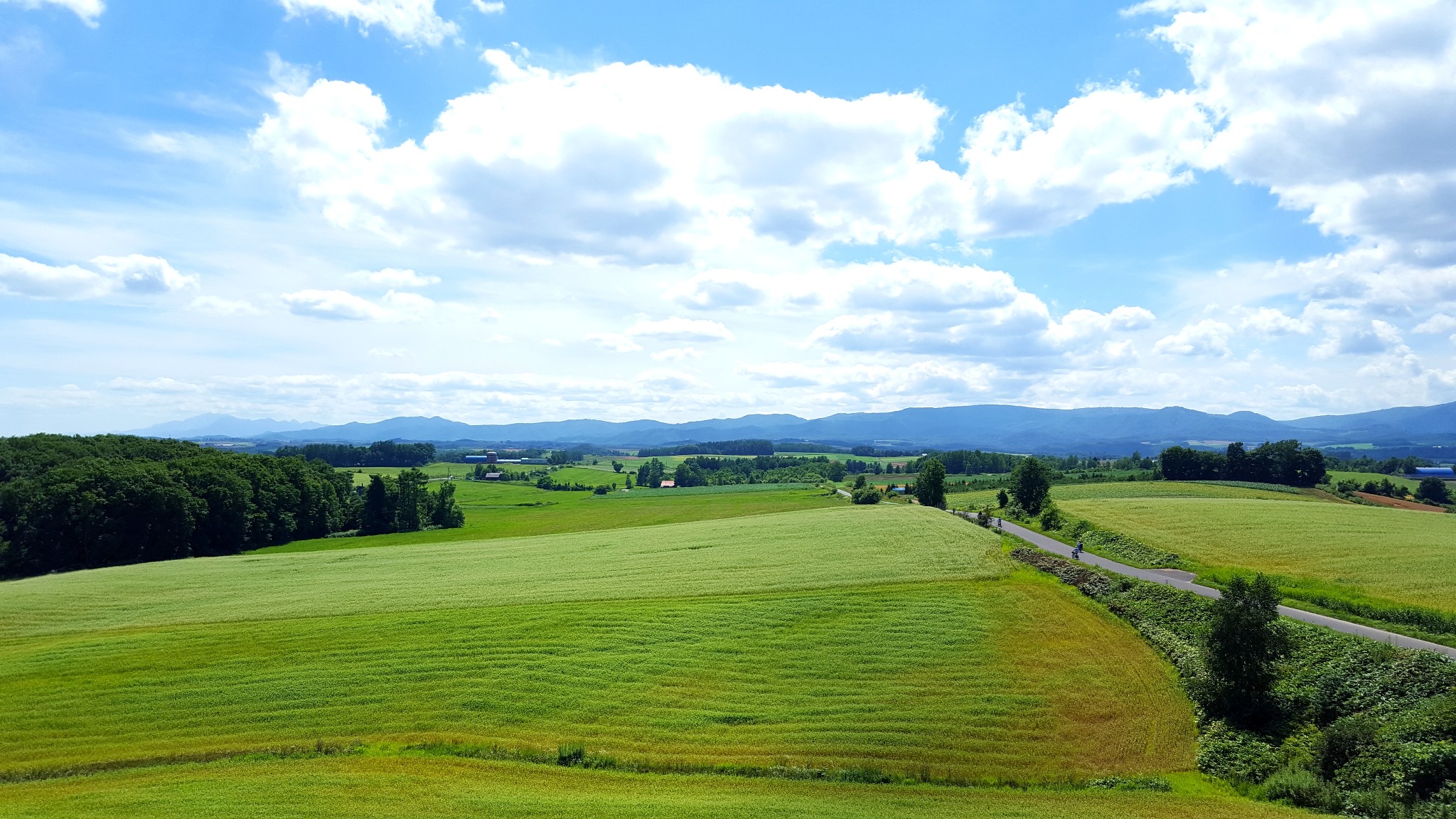 北海道自助遊攻略