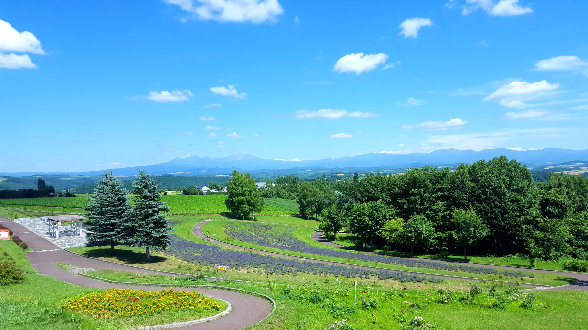 北海道自助遊攻略