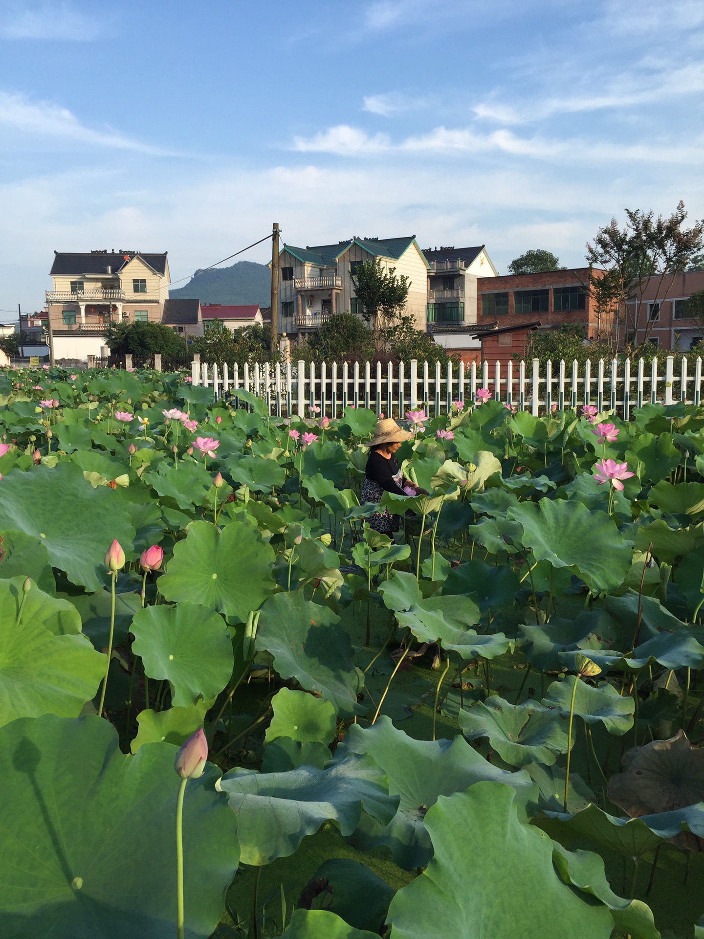 长乐福地一一兰溪长乐村