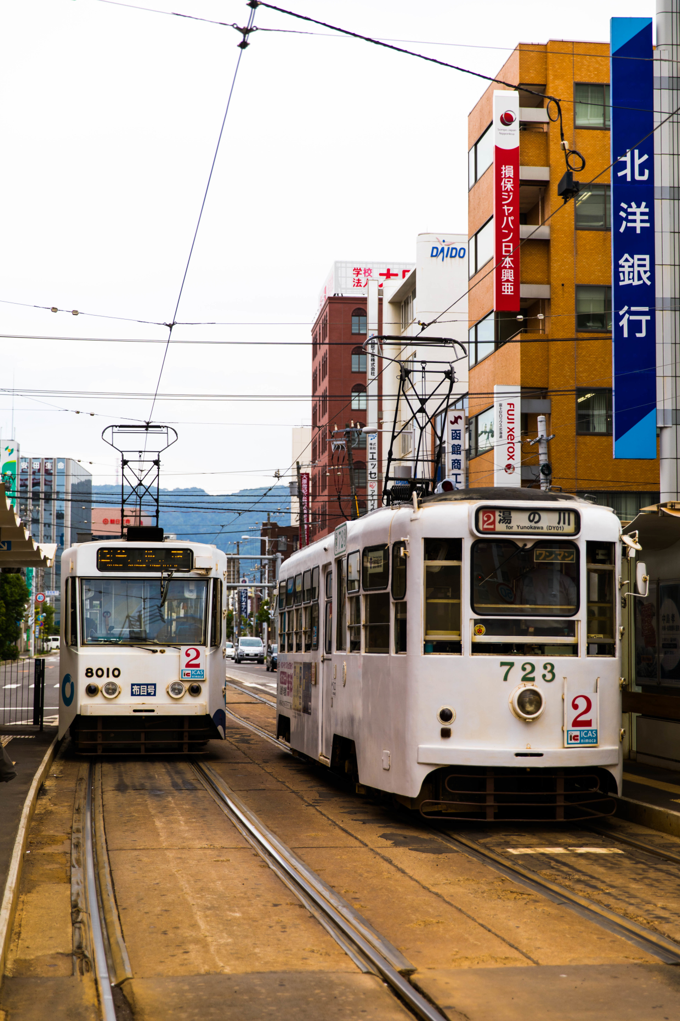 北海道自助遊攻略