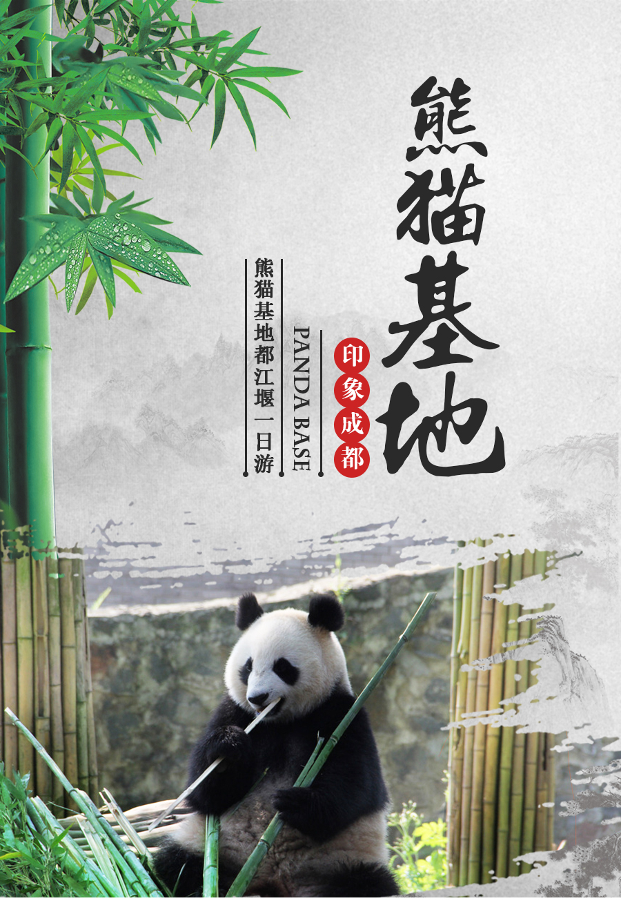 成都大熊猫基地都江堰纯玩一日游纯玩无购物参观熊猫文化