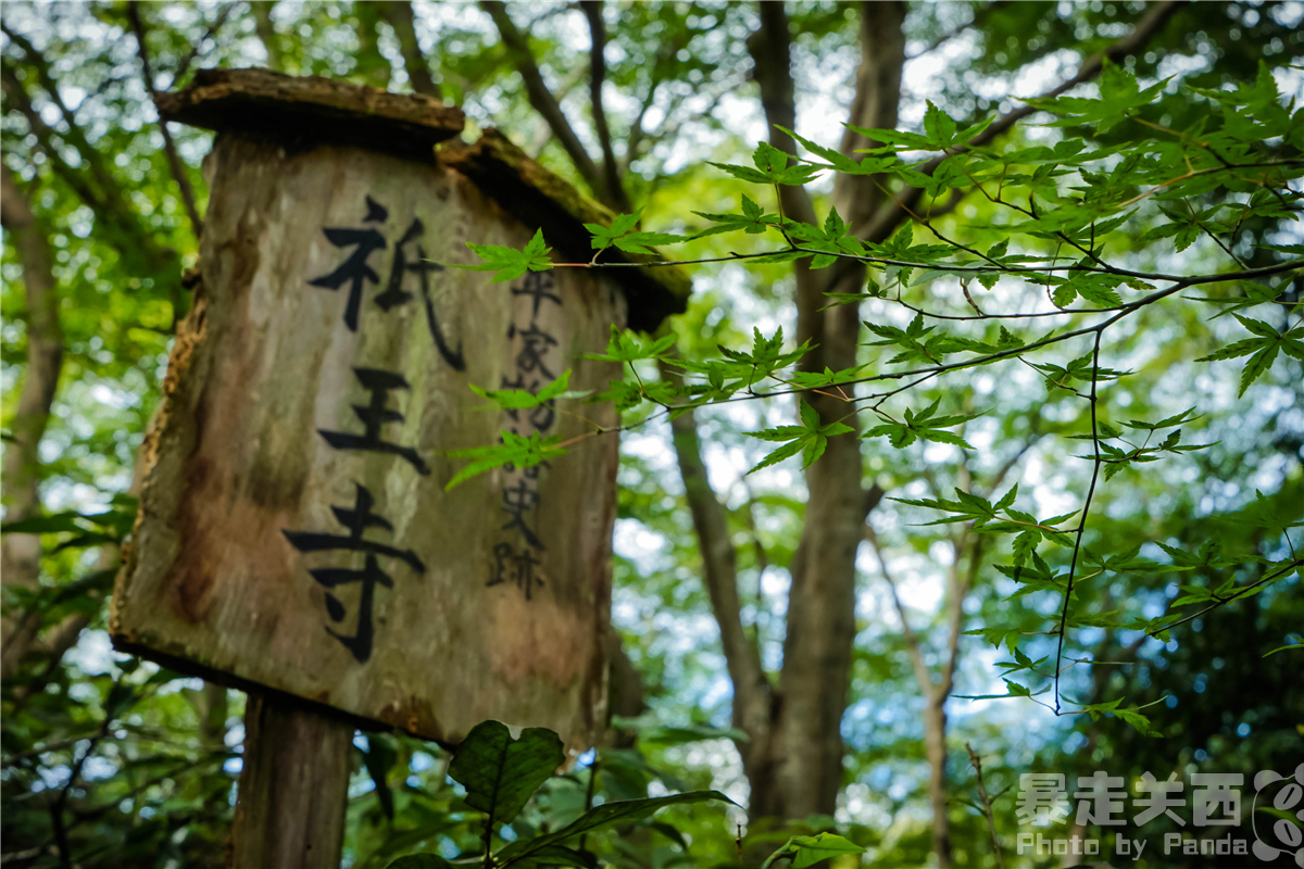 京都自助遊攻略