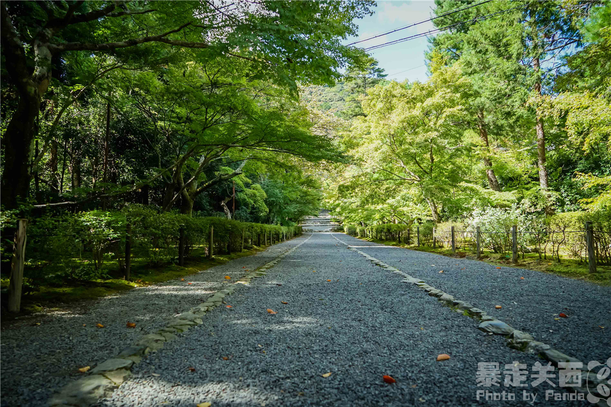 京都自助遊攻略