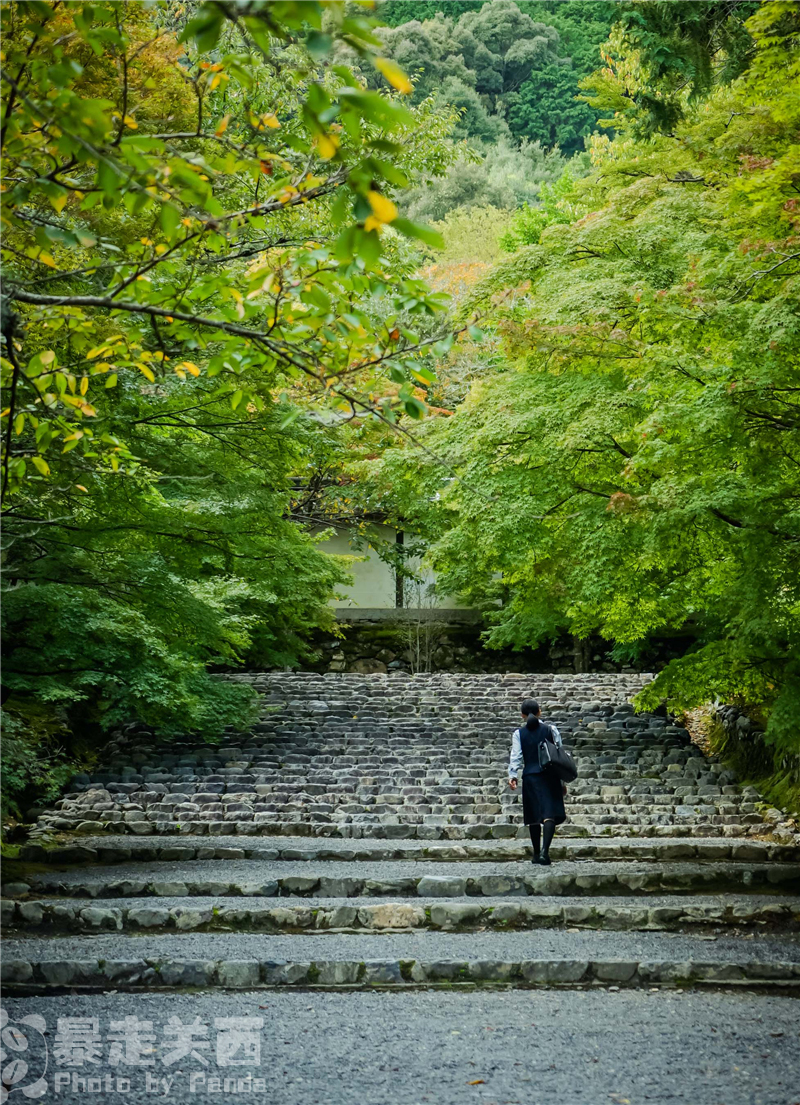 京都自助遊攻略