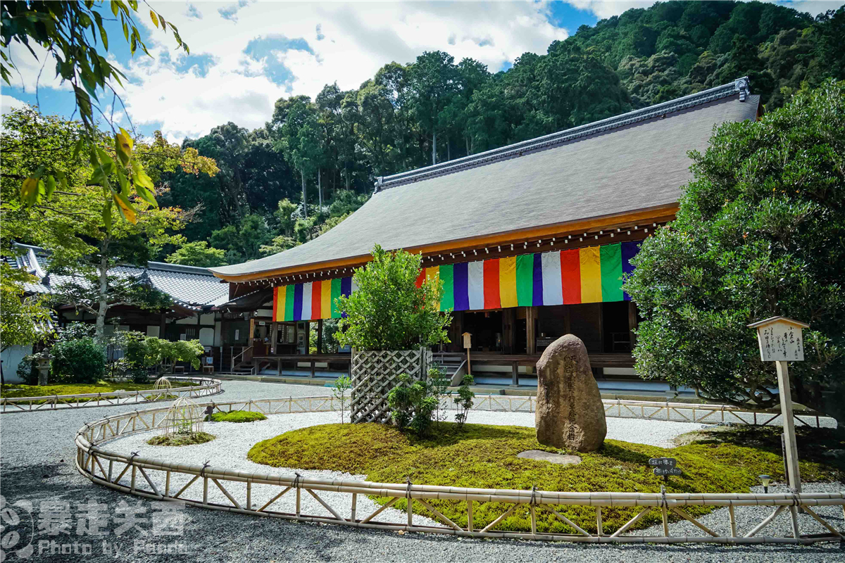 京都自助遊攻略