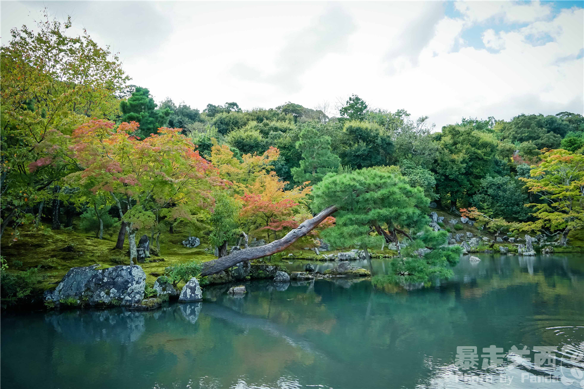 京都自助遊攻略