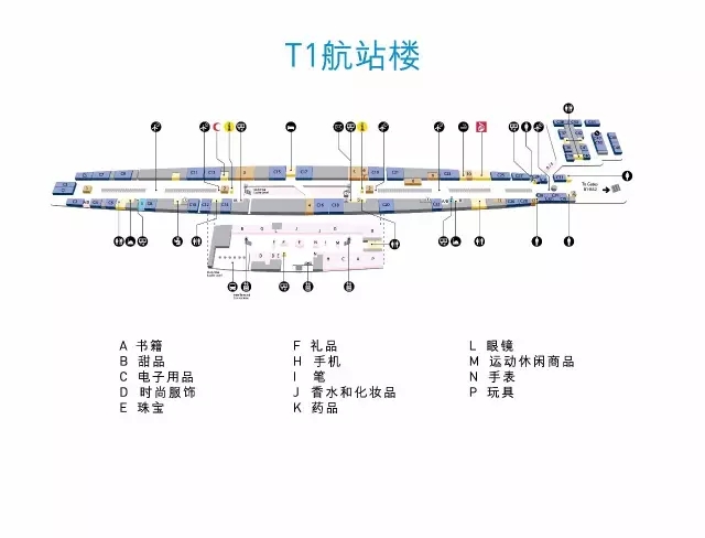 迪拜国际机场 平面图图片