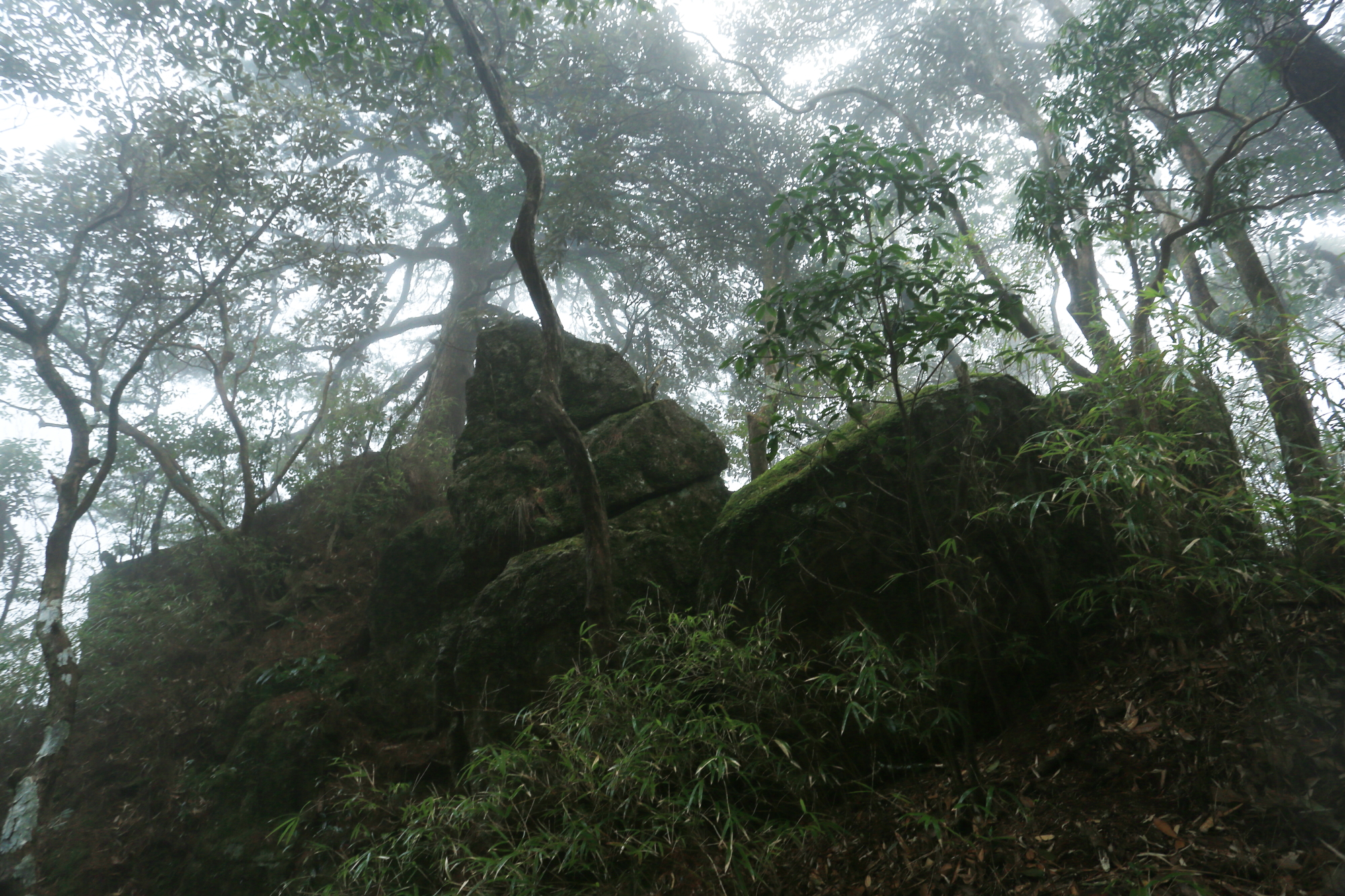 三清山自助遊攻略