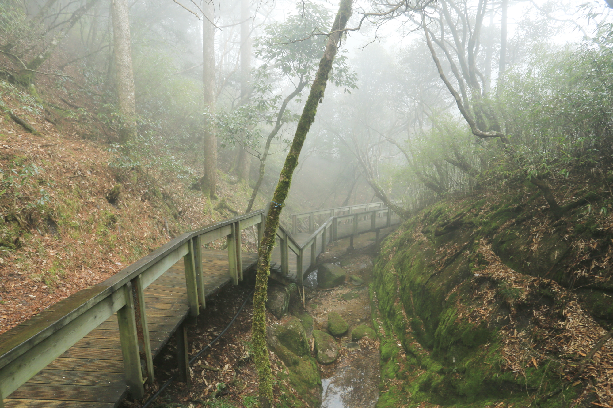 三清山自助遊攻略