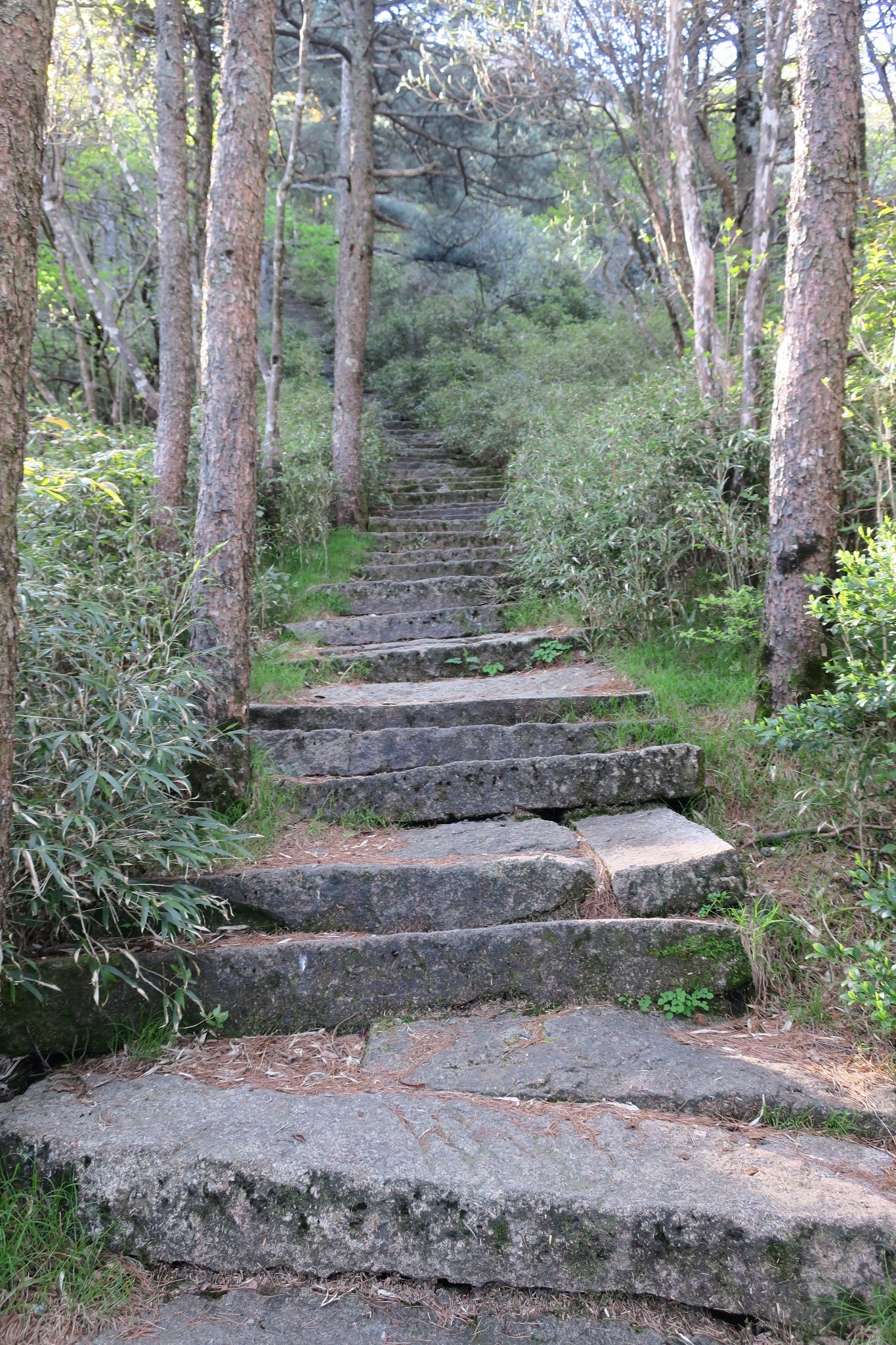 三清山自助遊攻略