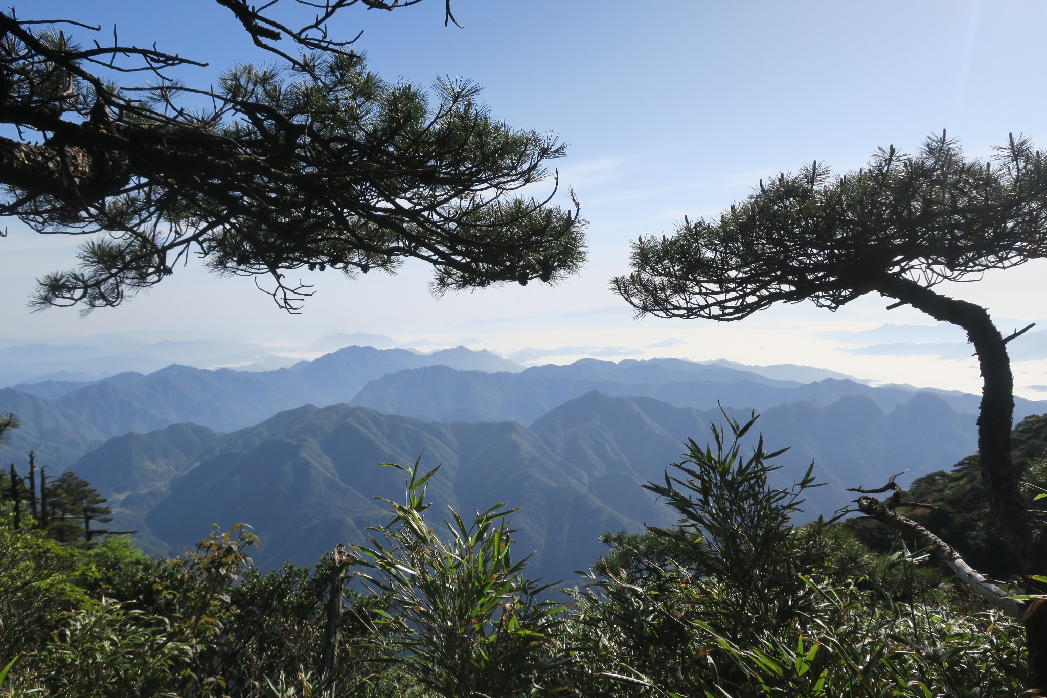 三清山自助遊攻略