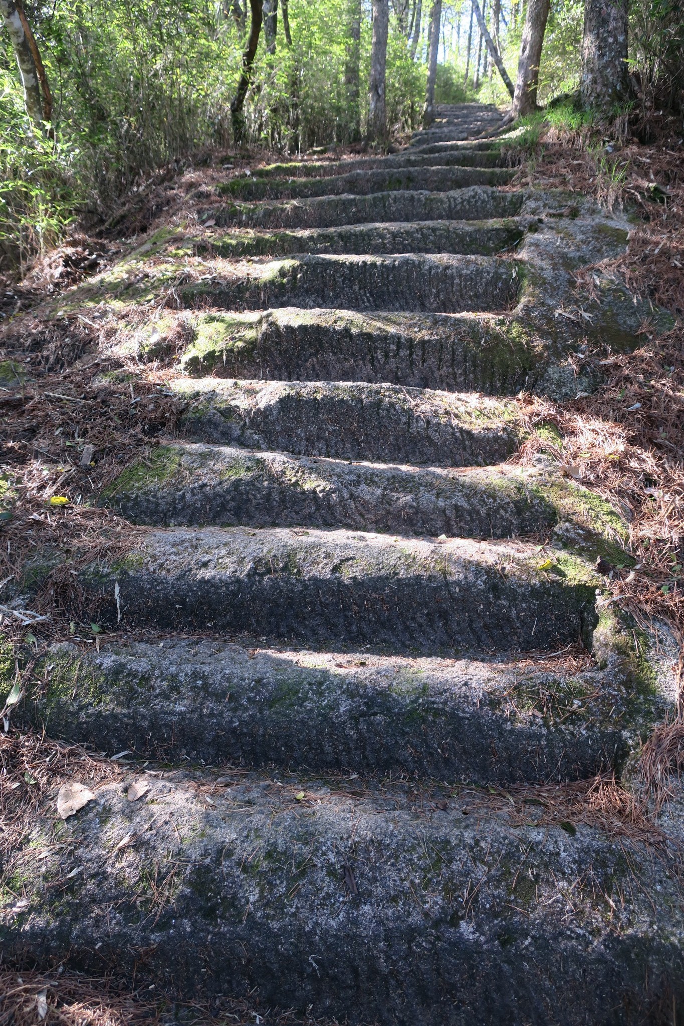 三清山自助遊攻略