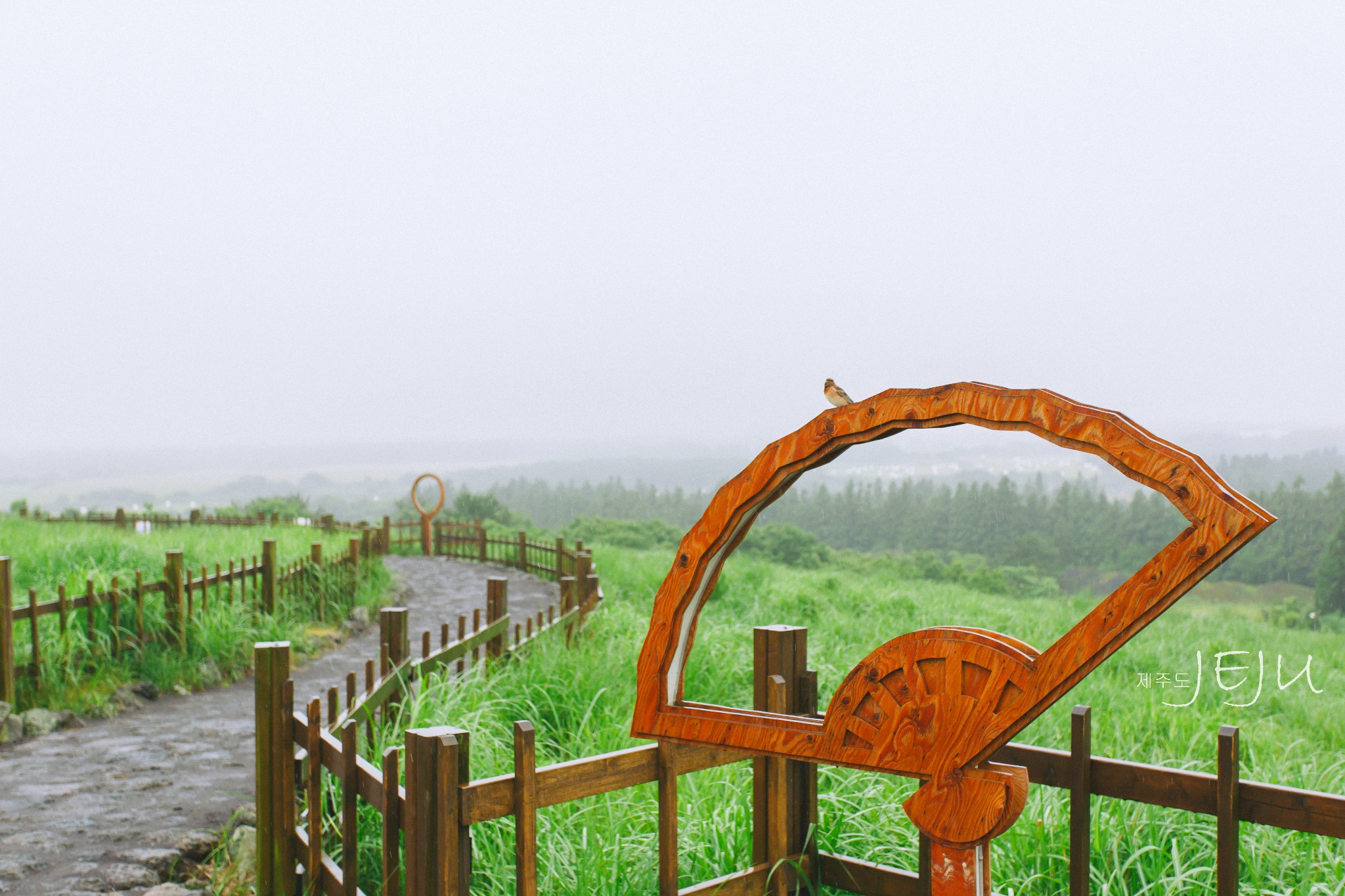 濟州島自助遊攻略