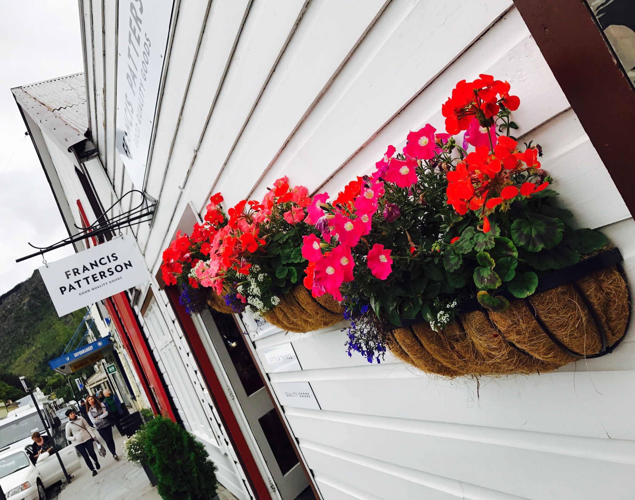 mix出品新西兰双岛烂漫亲子自驾游迷恋上大口吃牛肉大口喝牛奶的日子