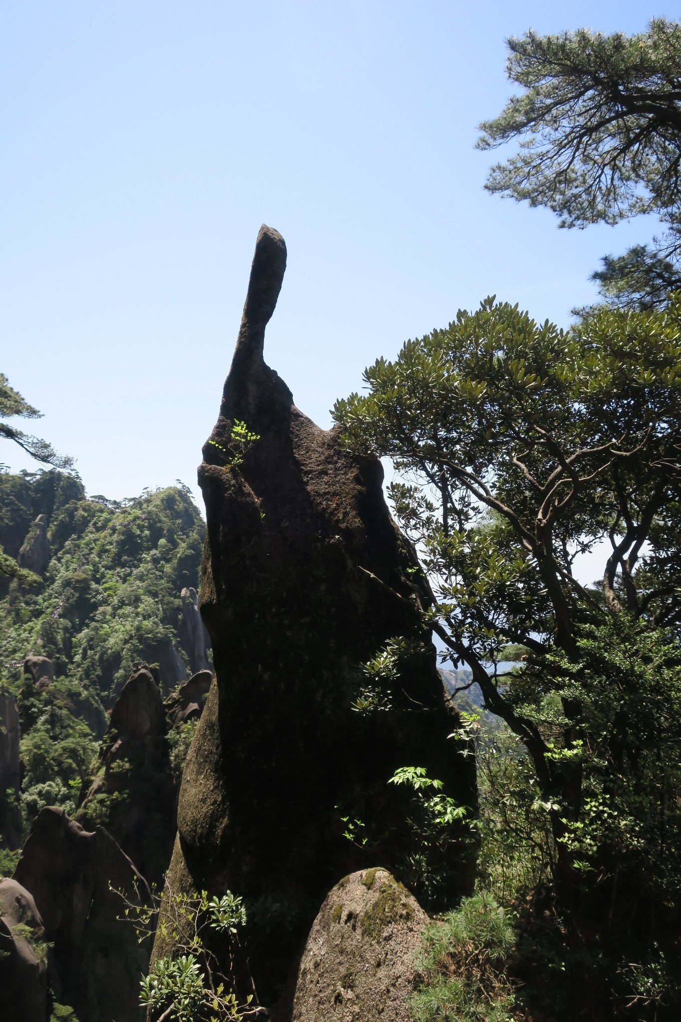 三清山自助遊攻略