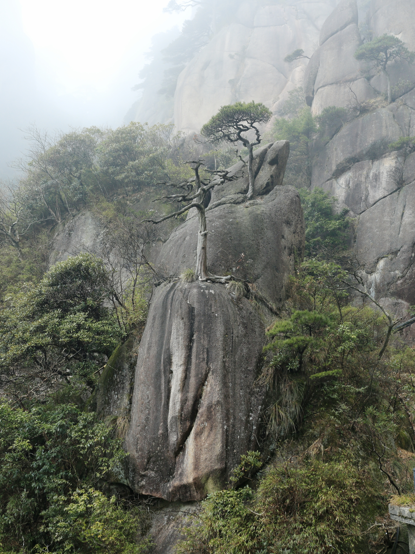 三清山自助遊攻略