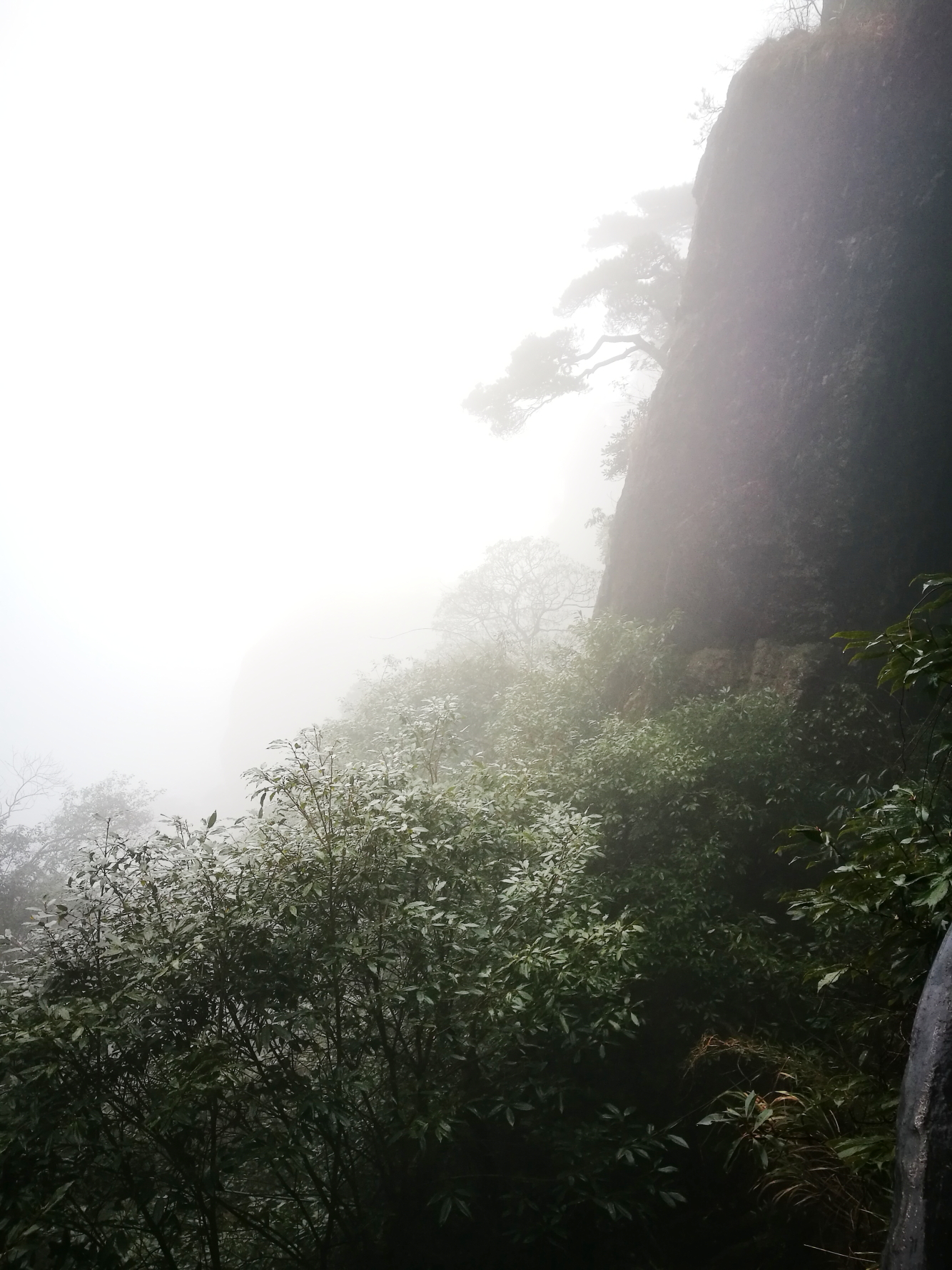 三清山自助遊攻略