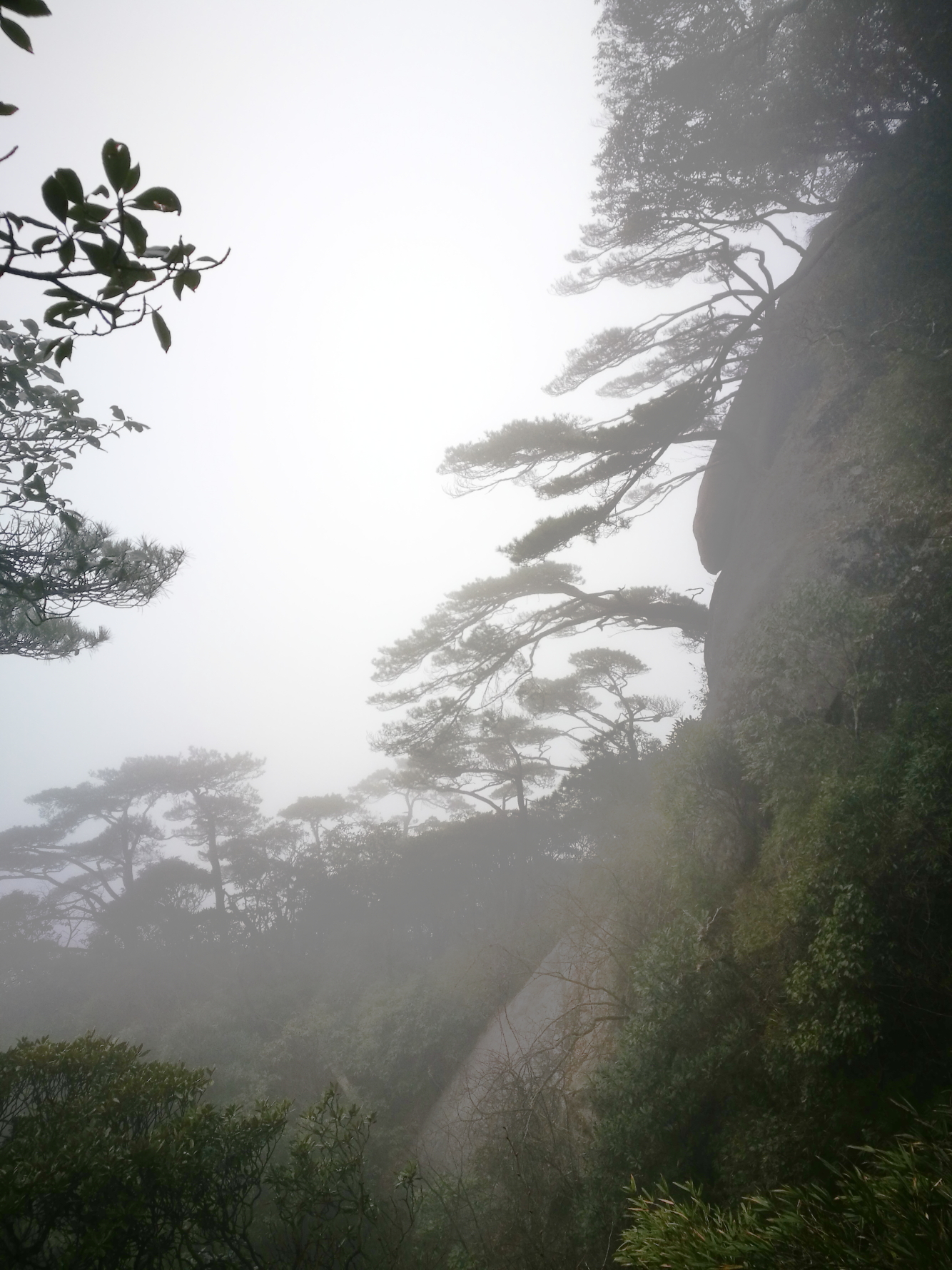 三清山自助遊攻略