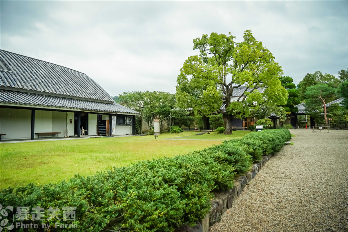 京都自助遊攻略